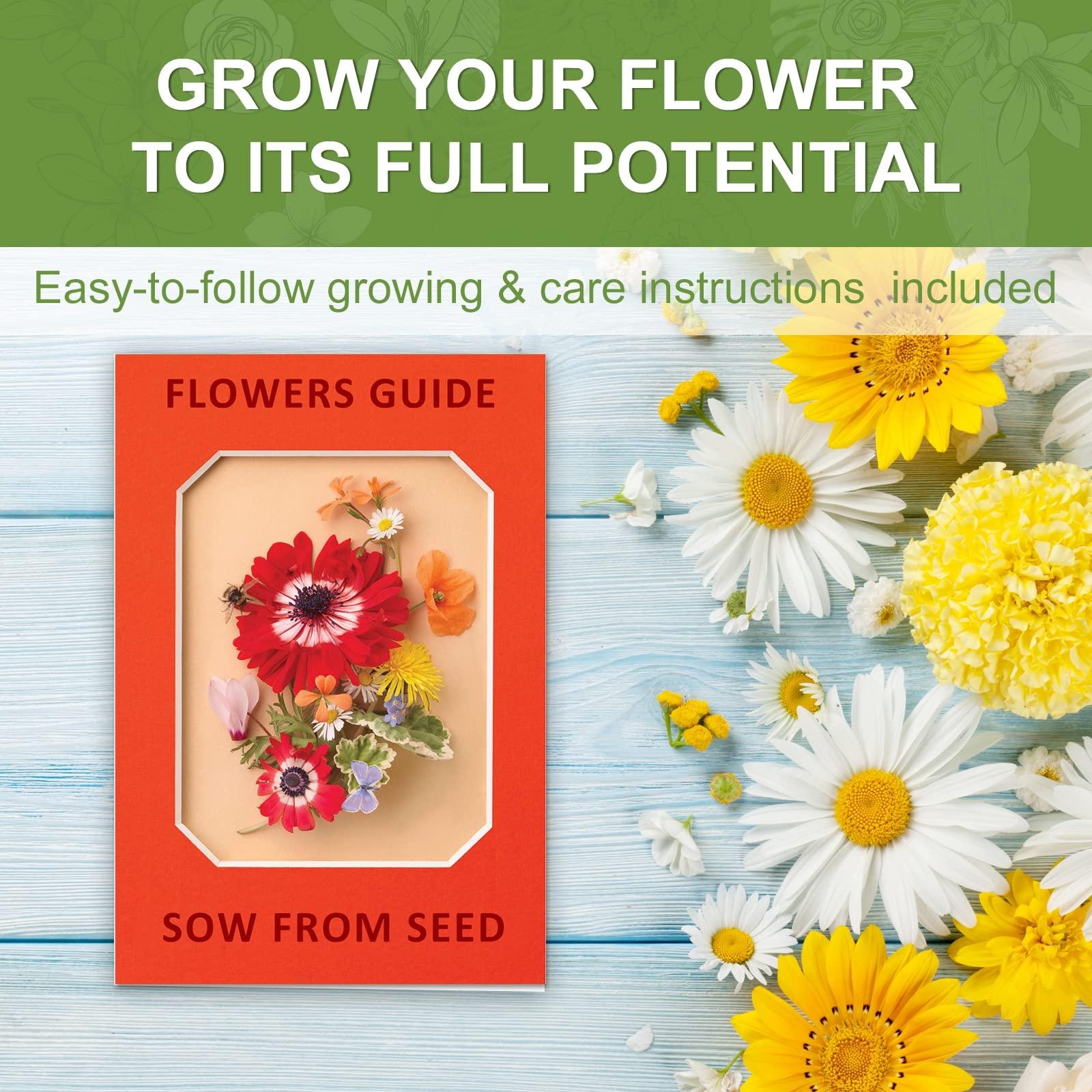 Indoor Daisy Garden Starter Kit with Gardening Tools - Jute Bags, Markers, Soil Disks and Shears, Home Gardening Gifts for Women Men Plant Lovers - Image 3