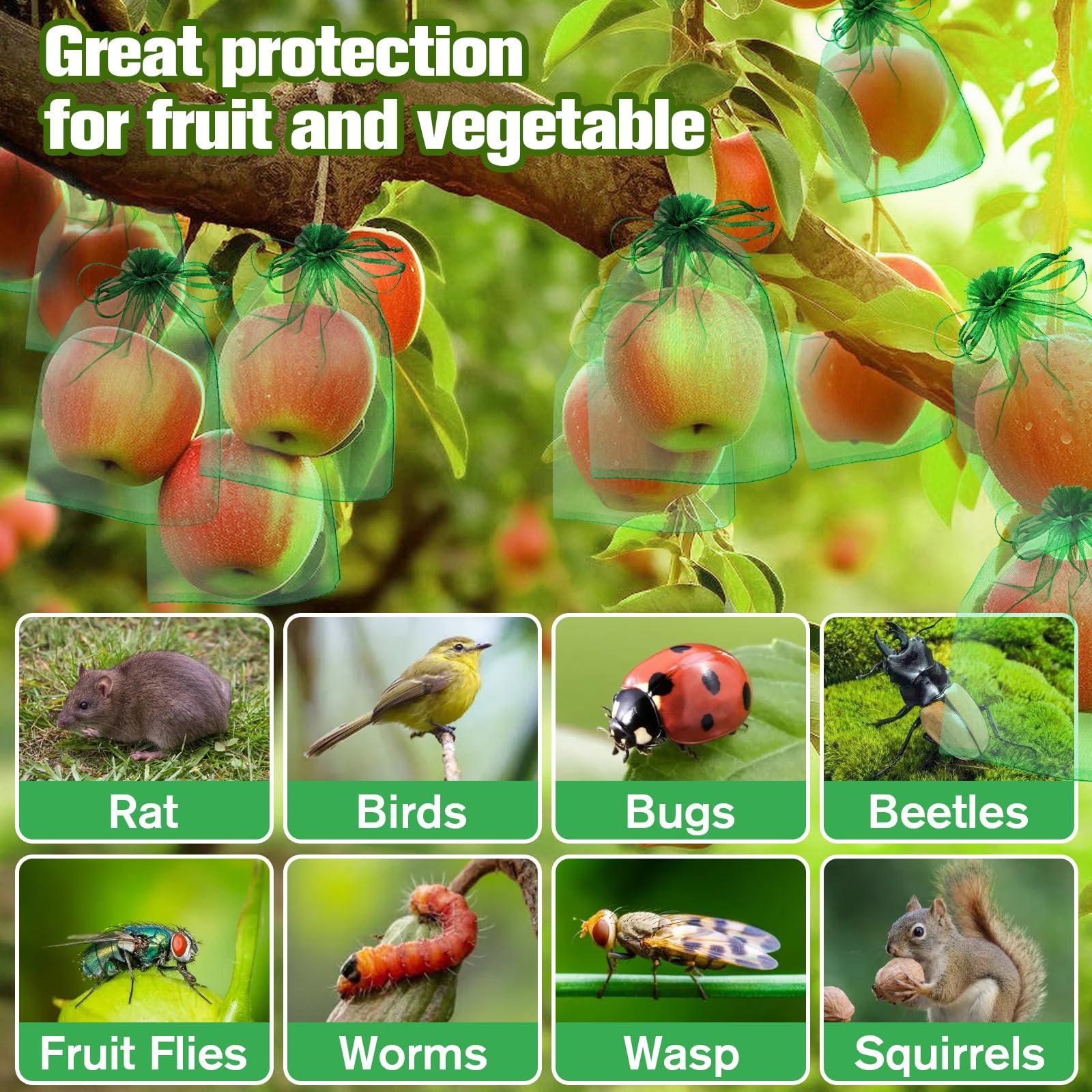 180 Pcs Fruit Protection Bags for Fruit Trees, Green Fruit Netting Cover Bags 3 Size Garden Netting Bags with Drawstring Mesh Barrier Bags for Plant Flower Vegetable Fruit Organza Bags Netting - Image 5