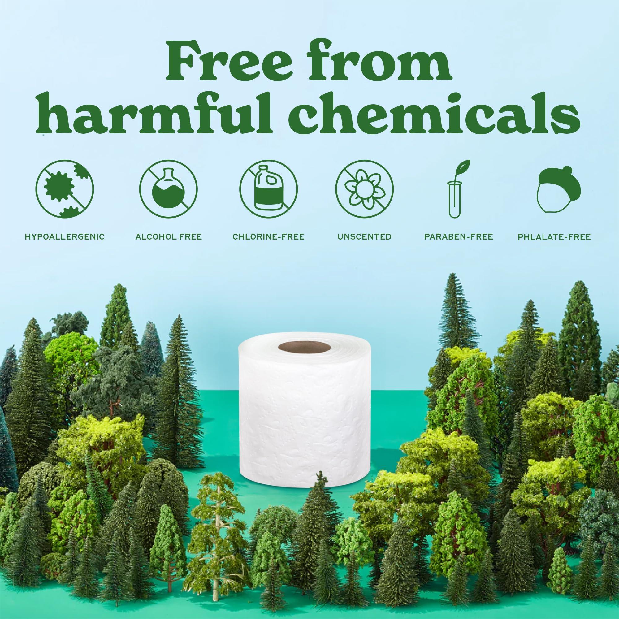Caboo Tree Free Toilet Paper | Septic Safe, Non Toxic, Chemical Free Toilet Tissue | 2 Ply Bathroom Toilet Paper | Pack of 24 Double Rolls, 300 Sheets Per Roll - Image 4