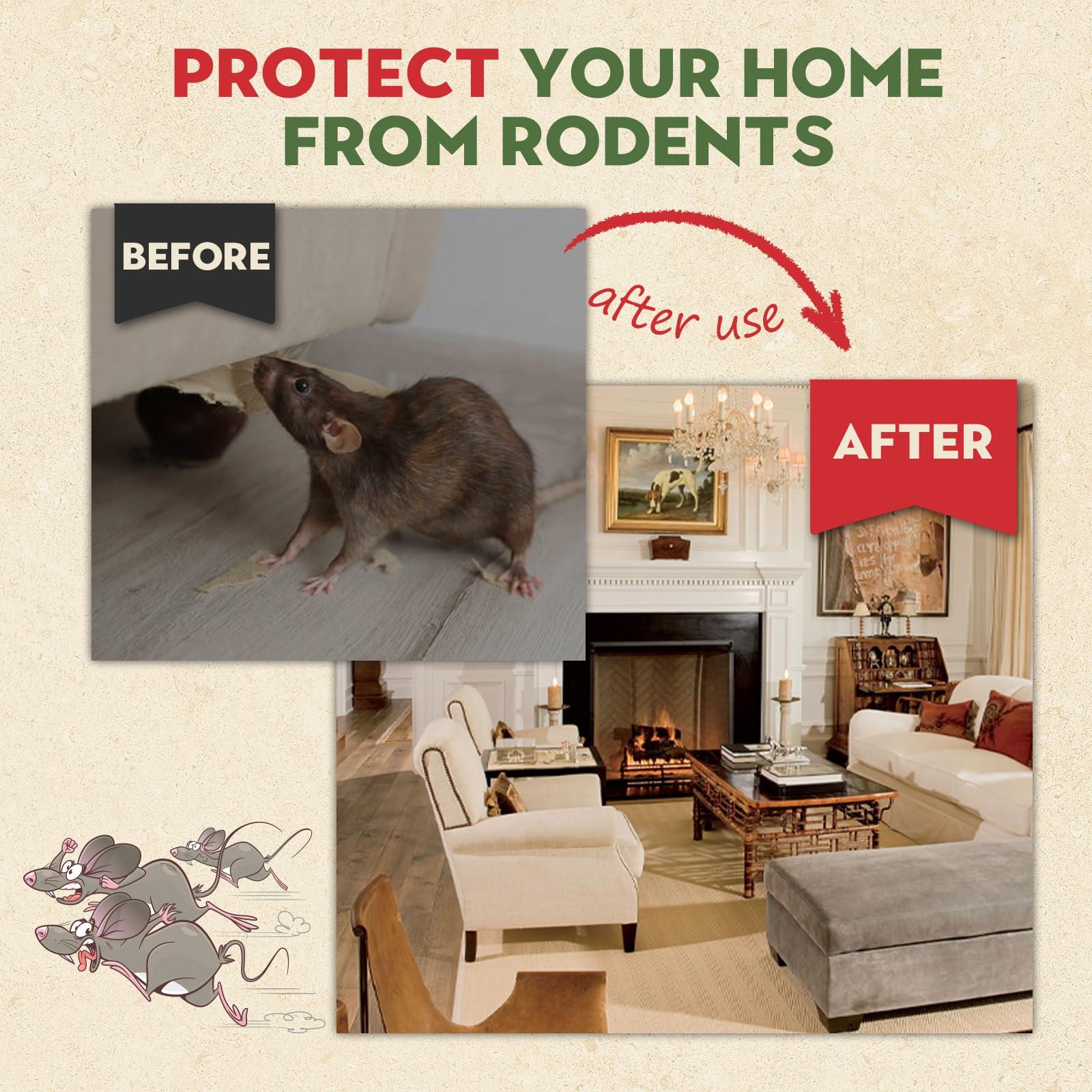 Mouse Repellent Outdoor, 10 Pack Natural Peppermint Oil Mouse and Squirrel Deterrent for Attic, Garage, Indoor, Rat Poisoning for Inside, Keep Rodents Out of Car - Image 5