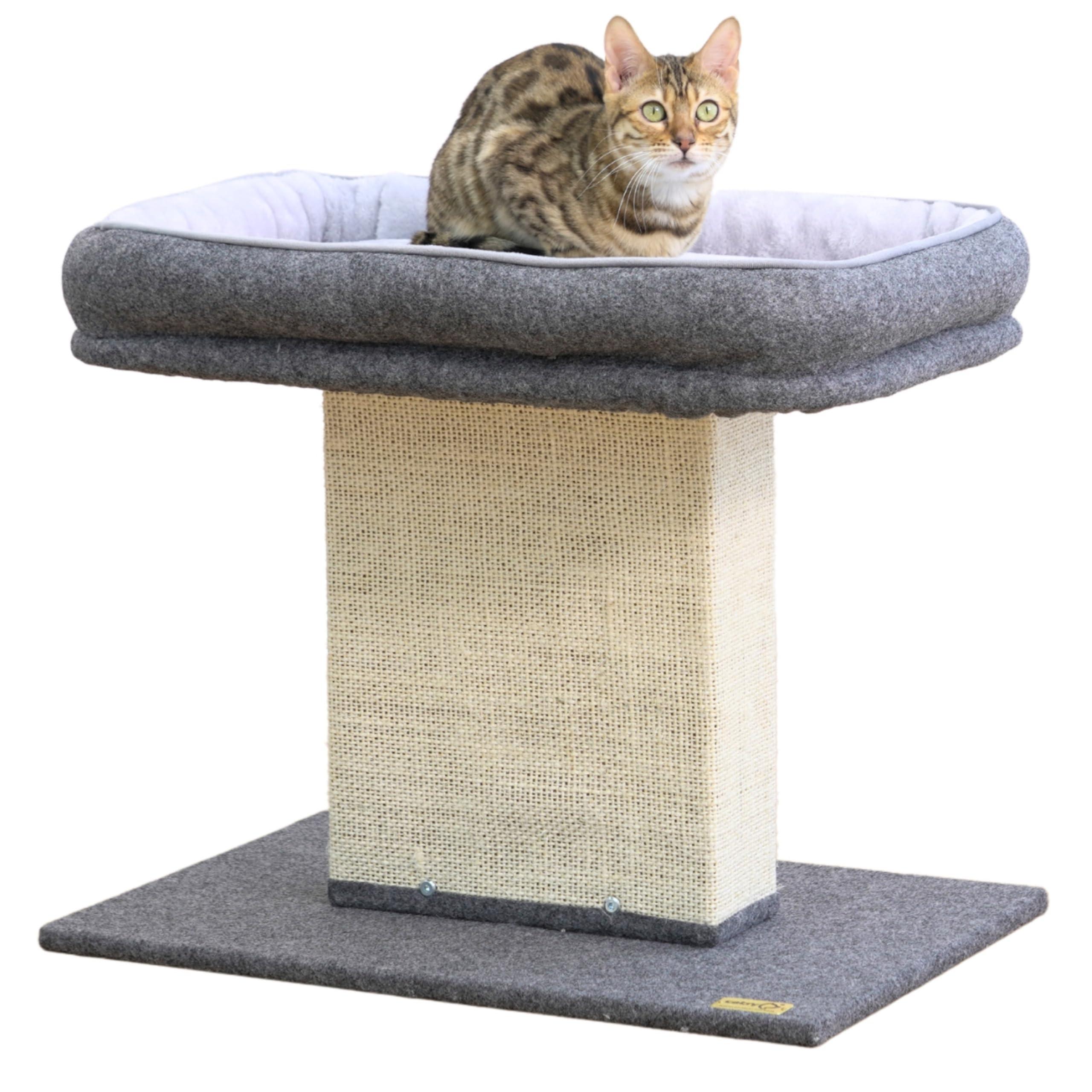Catry 19" High 2-in-1 Elevated Cat Perch with Large Soft Felt Bed, Wide Sisal Scratching Post, Minimalist Cat Furniture for Climbing, Scratching & Resting, Fits All Indoor Cats & Home Décor, Grey