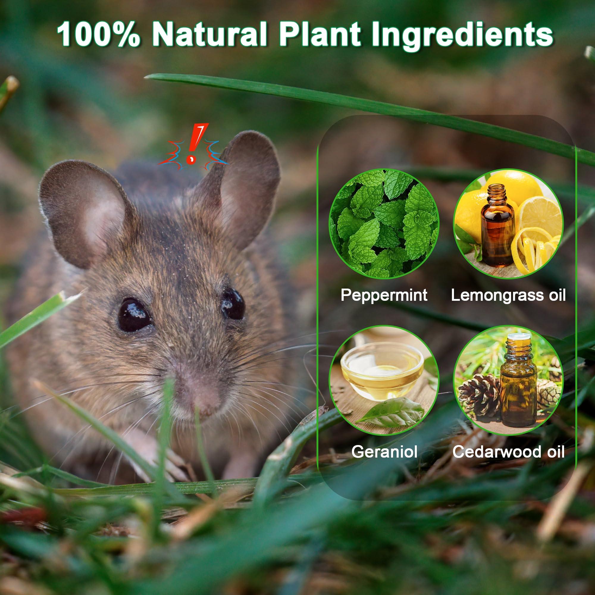 36 Pack Mice Repellent - Peppermint Oil Rat Repellent Ball for House Garage Garden Car Engine Indoor, Mouse Deterrent for Outdoor, Keep Mice Out Natural Pest Repellent Pet Safe - Image 3