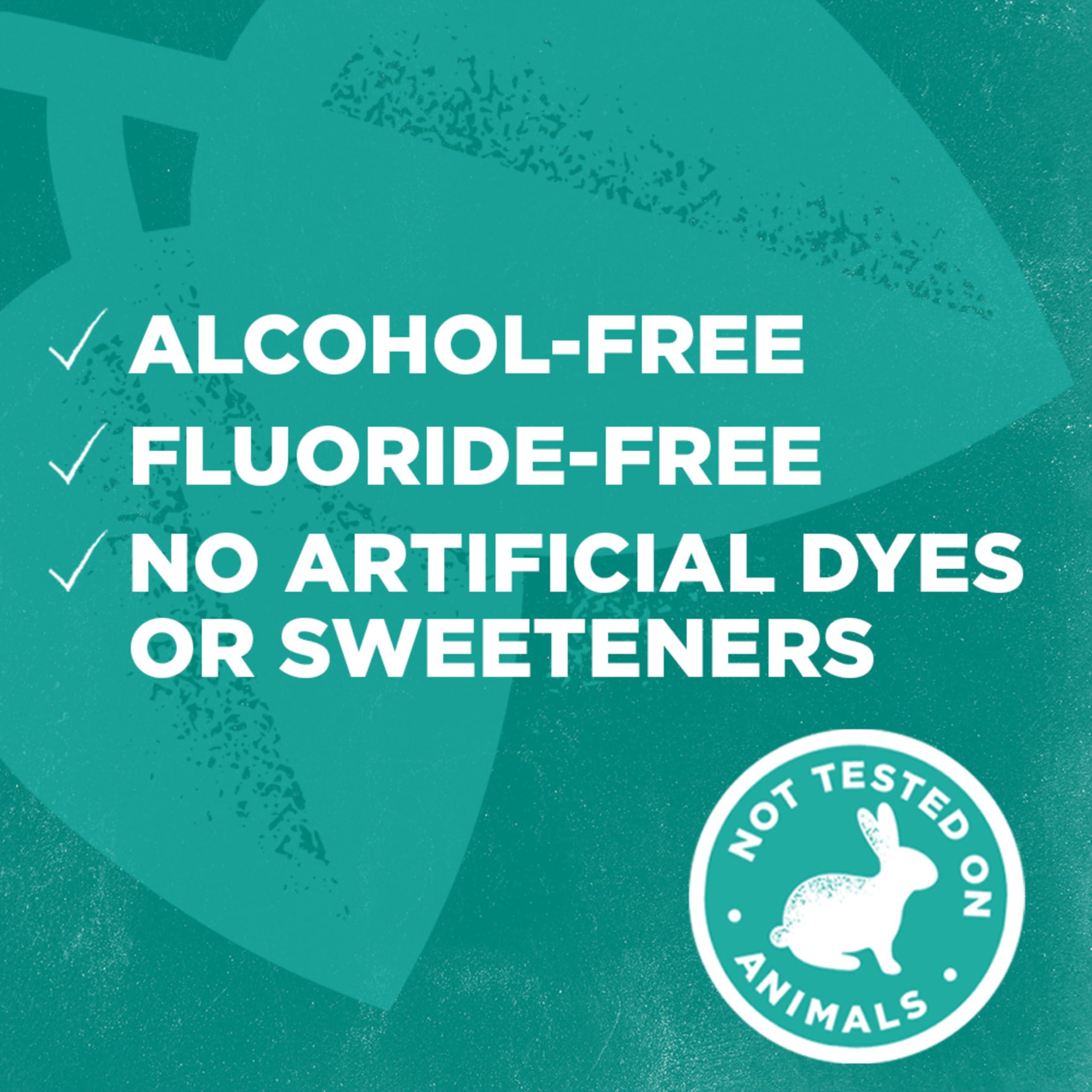 Tom's of Maine Natural Wicked Fresh Alcohol-Free Mouthwash, Cool Mountain Mint, 16 oz. 6-Pack (Packaging May Vary) - Image 5