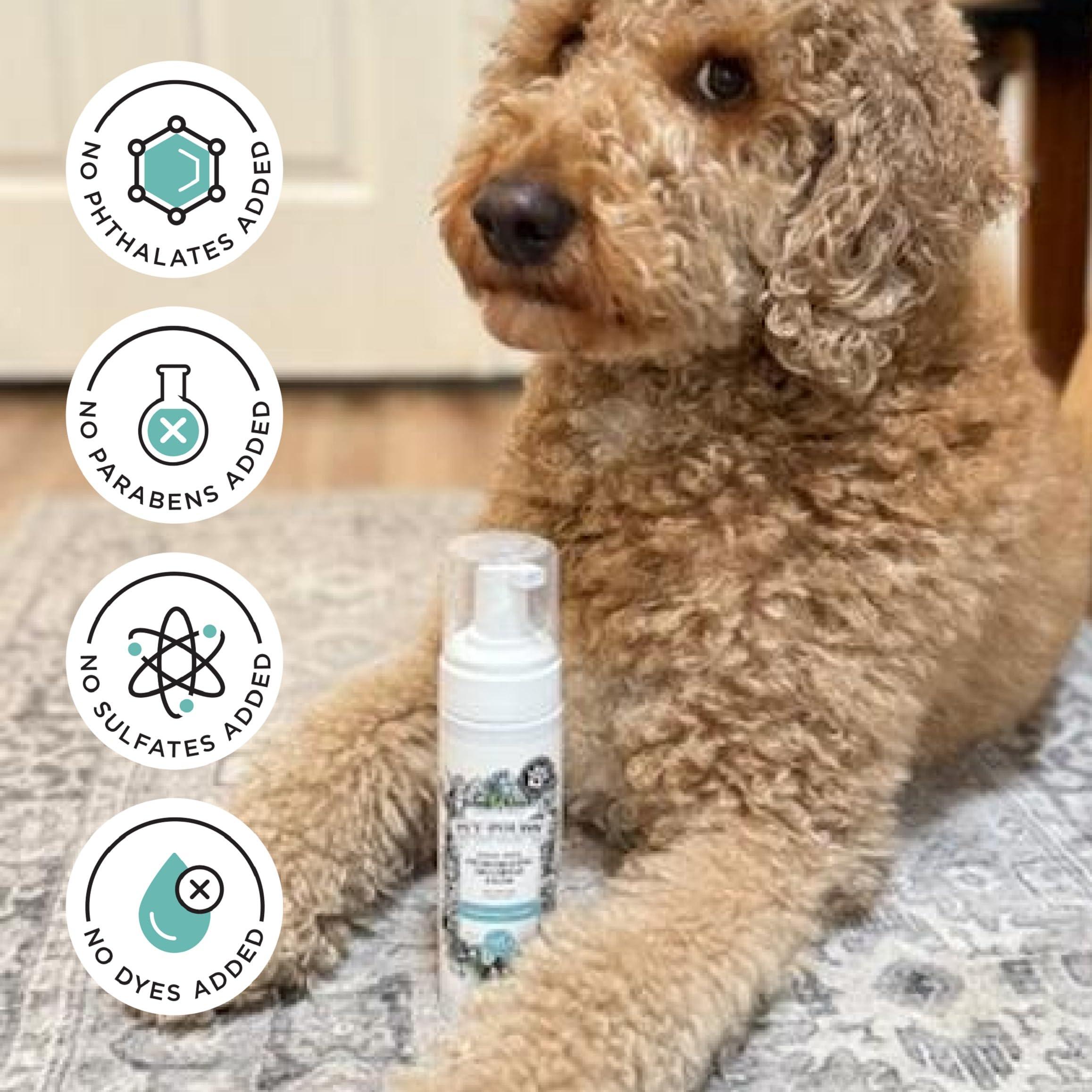 Poo-Pourri Rinse-Free Deodorizing Dry Shampoo for Dogs & Cats – Moisturizing Skin & Coat Soothing Formula - Plant Based Ingredients – Pineapple, Jasmine & Pear – No Rinse Foam Shampoo for Pet Odor - Image 7
