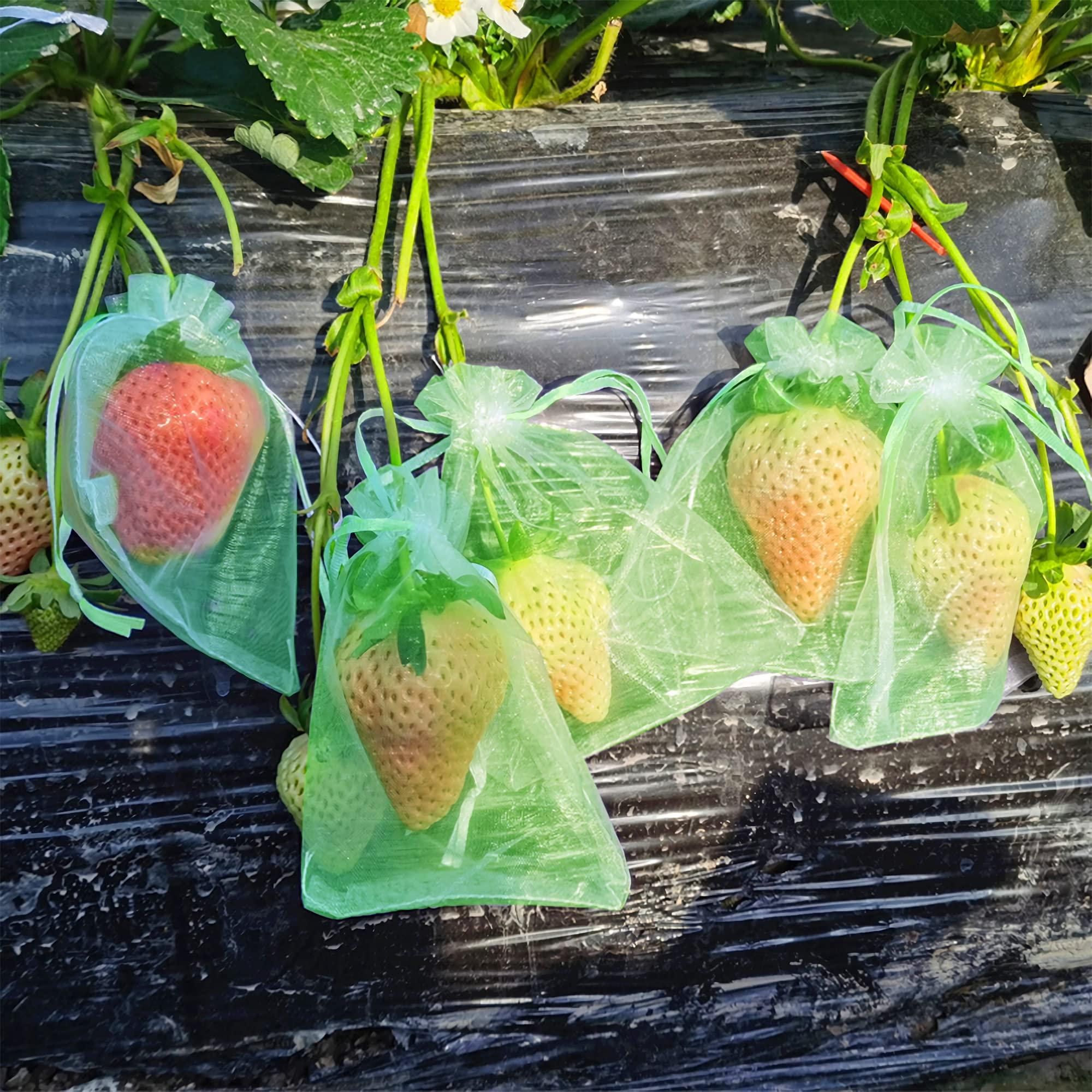 6x8 Inch 100 Pieces Green Fruit Protection Bags- Fruit Netting Bags with Drawstring,Garden Fruit Cover Mesh Bag to Protect Plants from Pest Birds Squirrels - Image 2