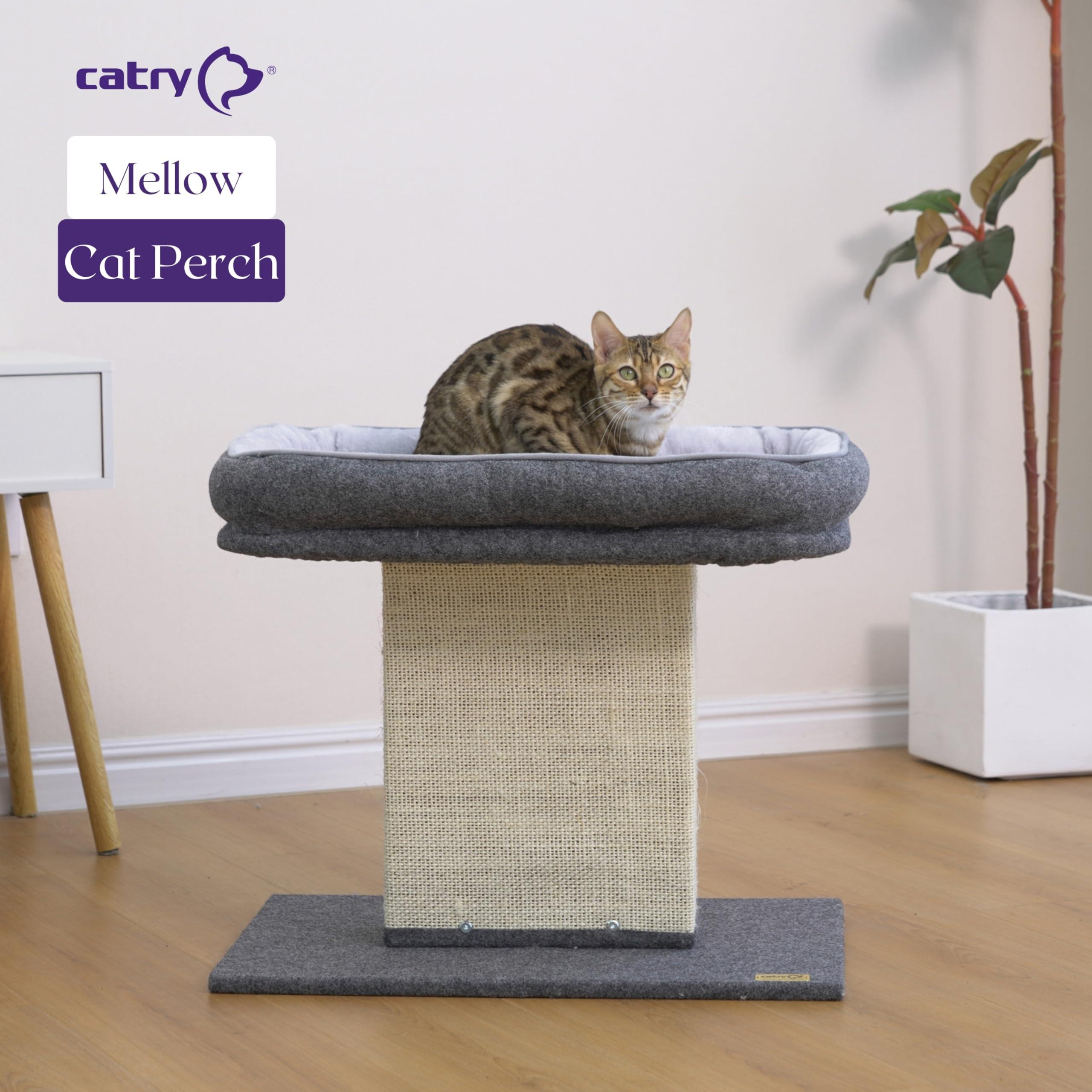 Catry 19" High 2-in-1 Elevated Cat Perch with Large Soft Felt Bed, Wide Sisal Scratching Post, Minimalist Cat Furniture for Climbing, Scratching & Resting, Fits All Indoor Cats & Home Décor, Grey - Image 3