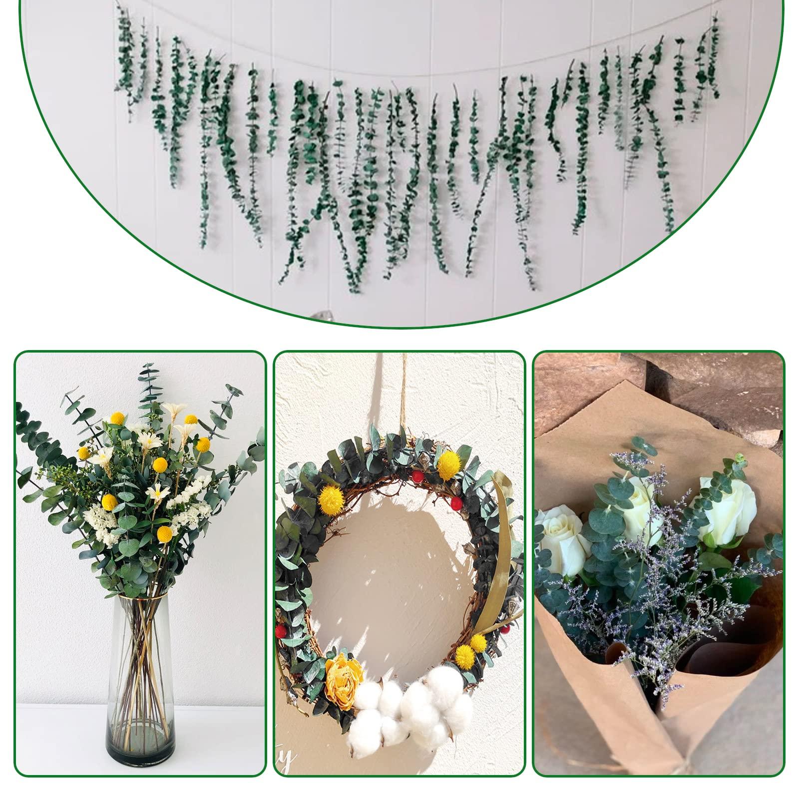 20 Pcs Preserved Dried Eucalyptus Stems, 17" Natural Fresh Eucalyptus Branches for Shower, Real Plant for Vase Filler, Dried Flowers Arrangement, Floral Home Decor - Image 5