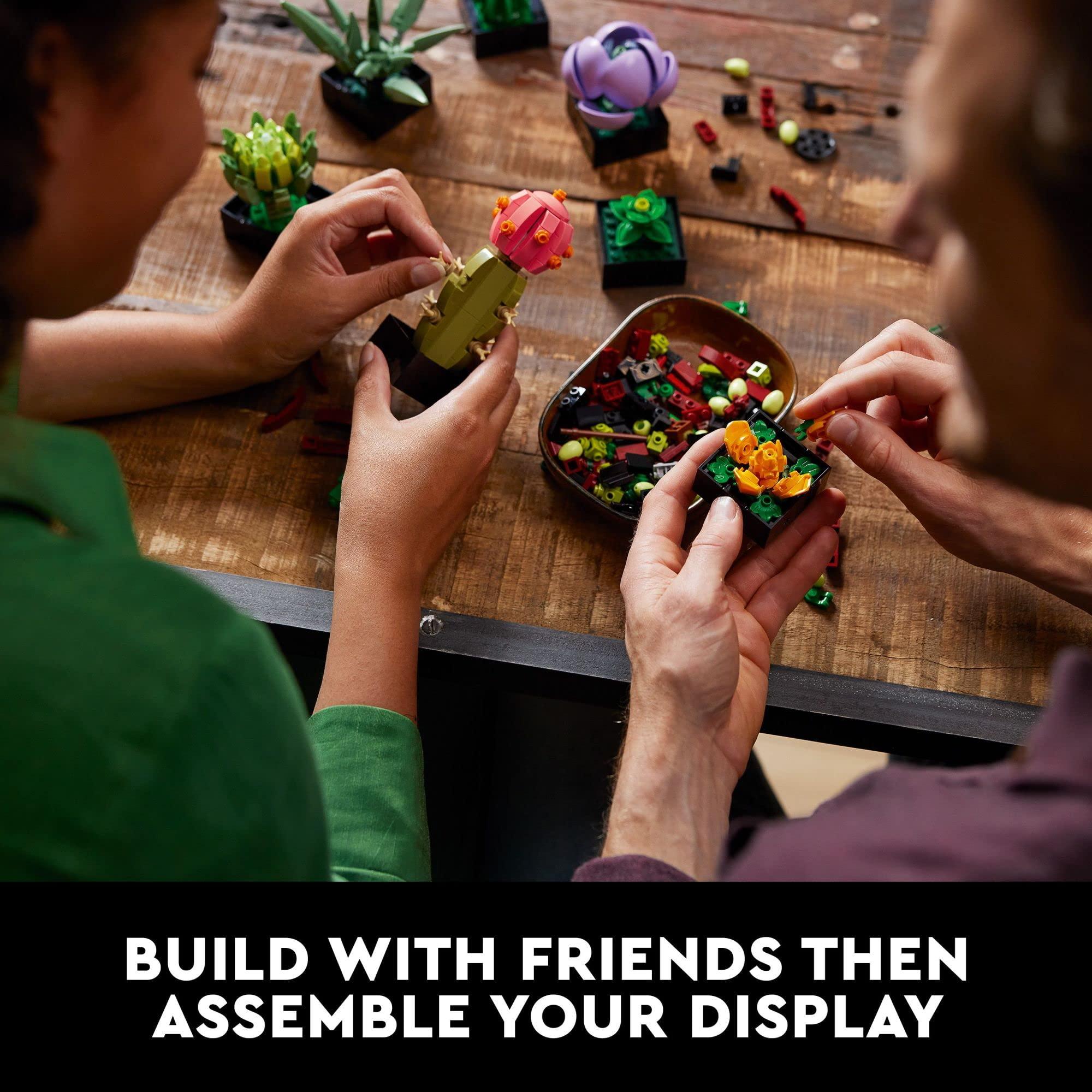 LEGO Botanicals Succulents - Artificial Indoor Plant Building Set for Home, Kitchen, Desk Decor Adults Ages 18+ - Gift for Graduation - 10309 - Image 2