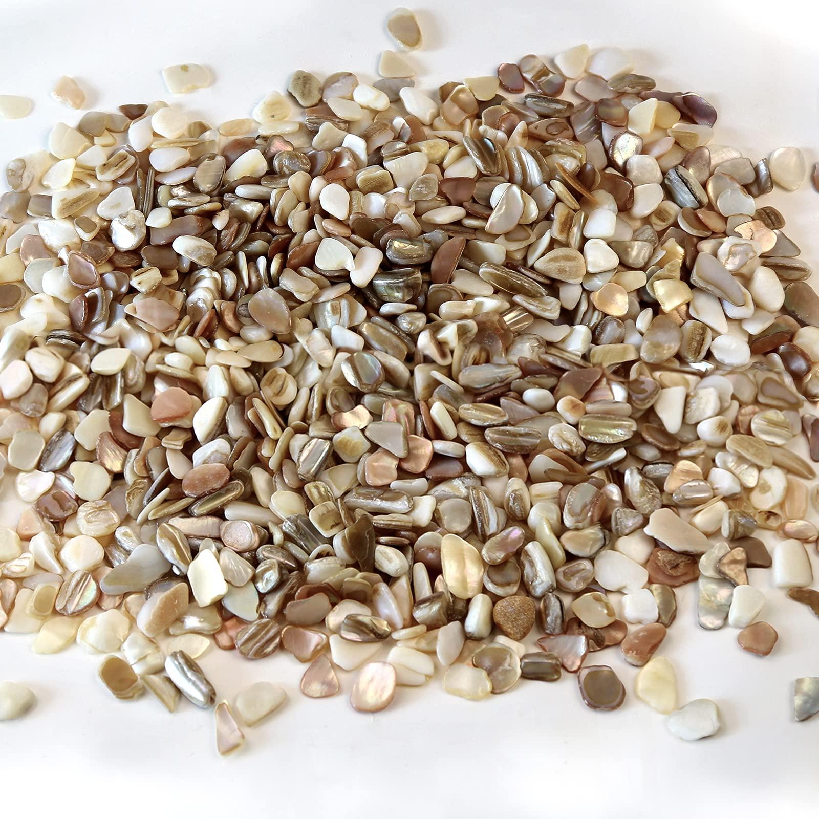 QICQDRAM Crushed Shells for Crafts About 1LB (405g/14.28oz) Small Natural Crushed Shells Bulk for Crafts DIY Beaching Wedding Decoration Vase Fillers (Natural Color) - Image 2