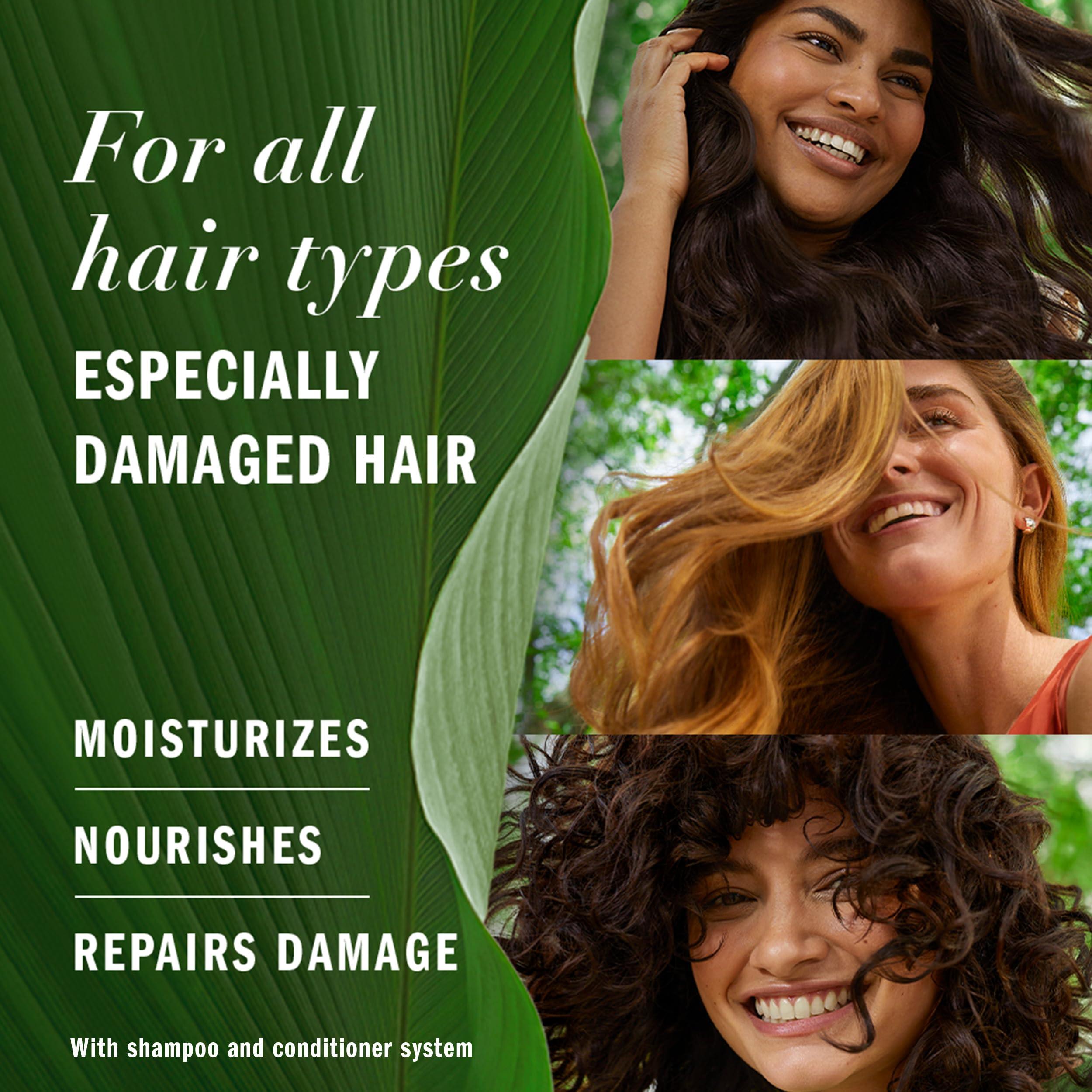 Herbal Essences Argan Oil Repair Shampoo & Conditioner Set, Moisturizes & Smoothes, Paraben-Free, Color-Safe, pH-Balanced, Citrus Scent, 20.2 Fl Oz, 2-Pack - Image 2