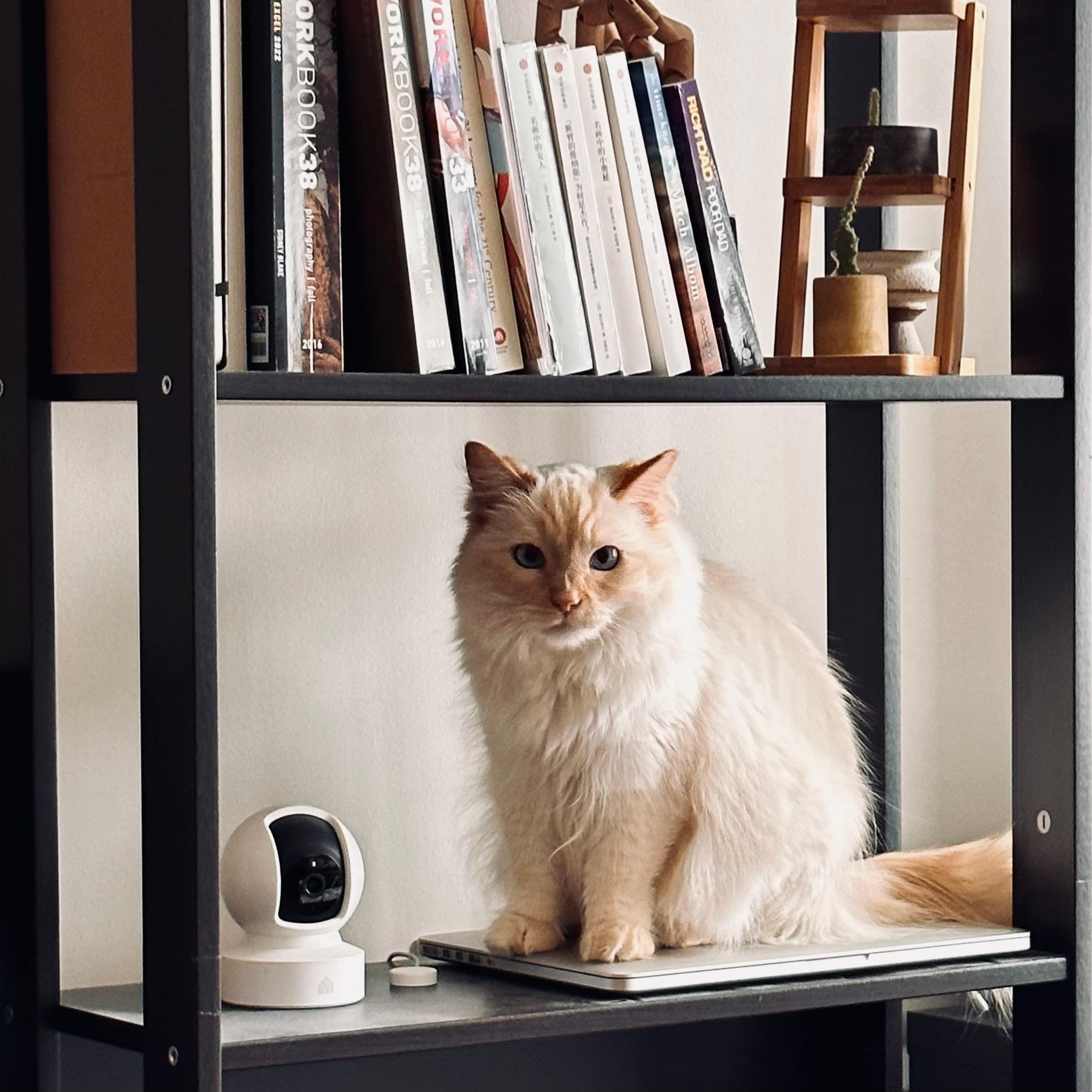 Kasa Indoor Pan/Tilt Smart Security Camera, 1080p HD Dog-Camera,2.4GHz with Night Vision,Motion Detection for Baby and Pet Monitor, Cloud & SD Card Storage, Works with Alexa& Google Home (EC70), White - Image 6