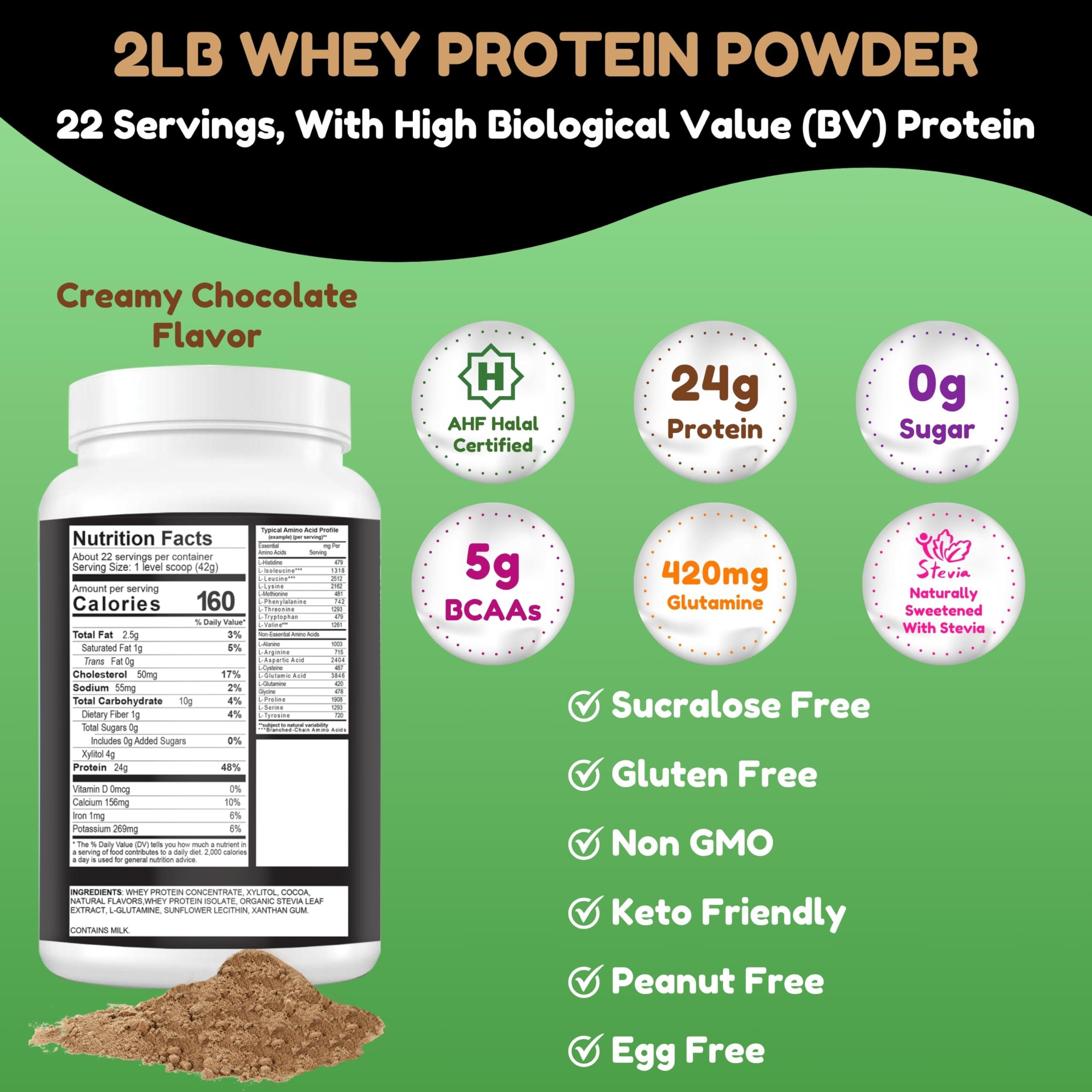 SHIFAA NUTRITION 2 Lbs Halal Whey Protein Powder Creamy Chocolate. 24g Protein, 5g BCAAs & 420mg Glutamine. for Building Lean Muscles & Recovery. Sugar-Free, Keto-Friendly, Gluten-Free, Non-GMO - Image 2