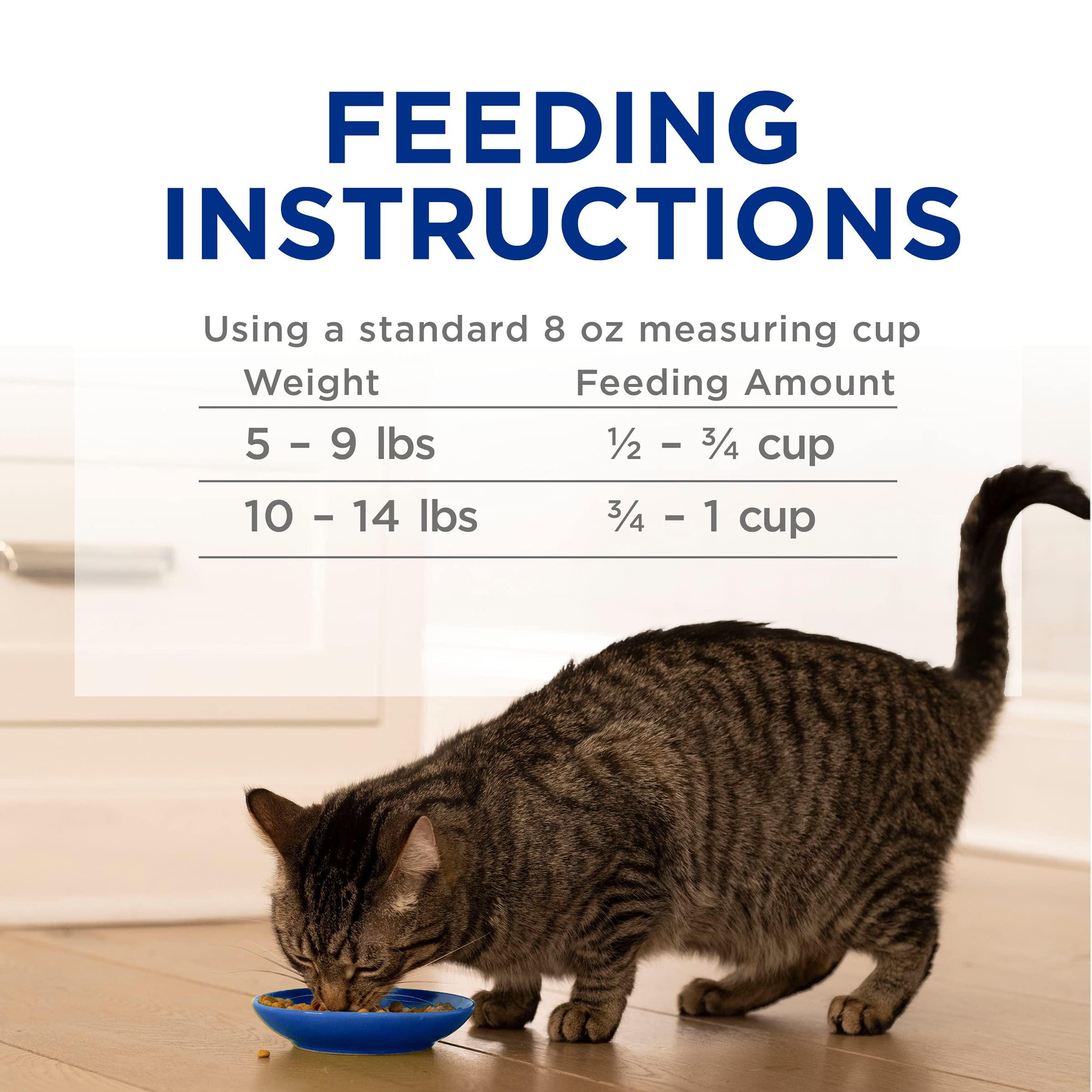 Purina Cat Chow High Protein Dry Cat Food, Complete - (Pack of 4) 3.15 lb. Bags - Image 12