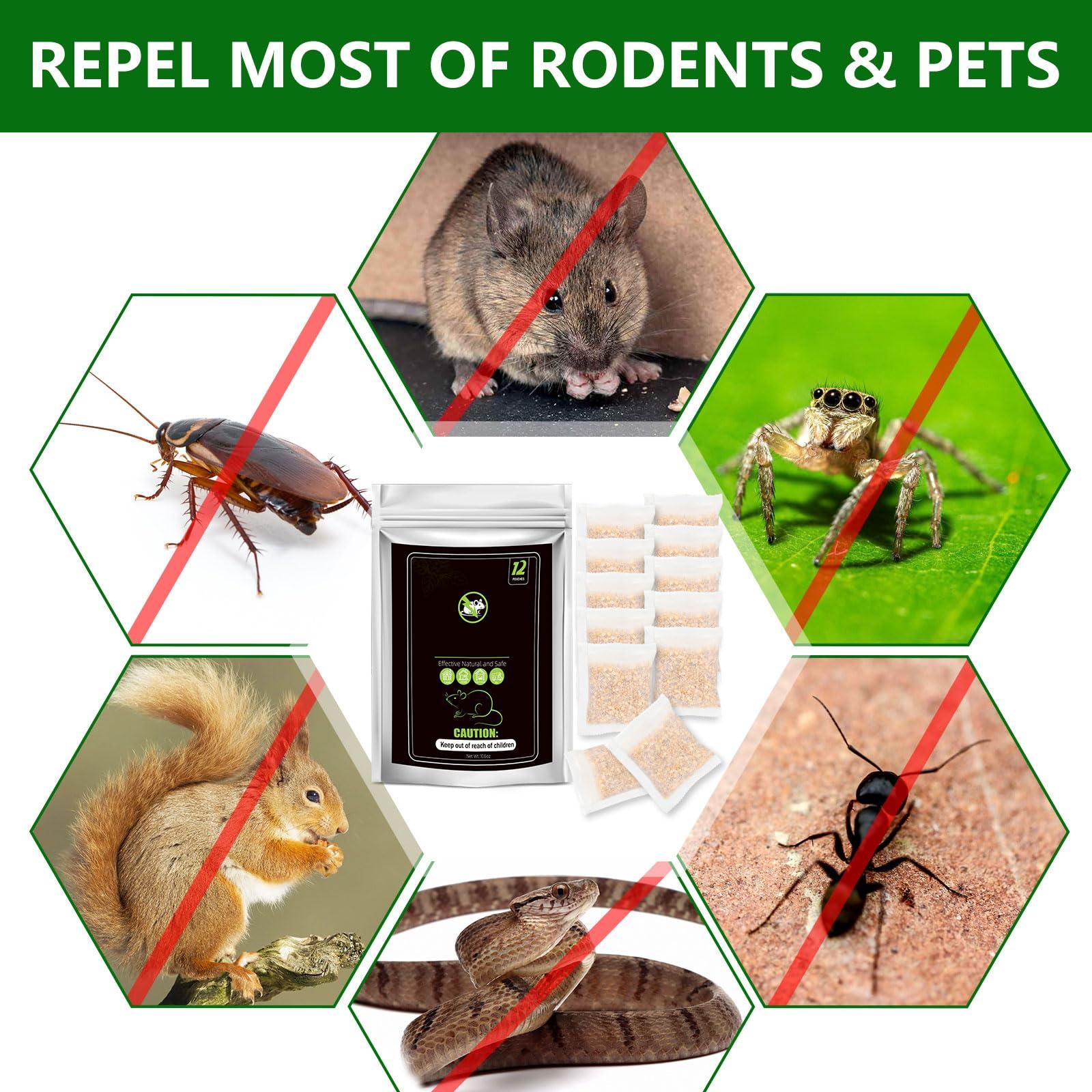 Rodent Repellent, Mouse Repellent Pouches (Pack of 12) - Peppermint Oils Mice Rat Roach Repellent for Outdoor Indoor House Basement RV Garage - Image 3