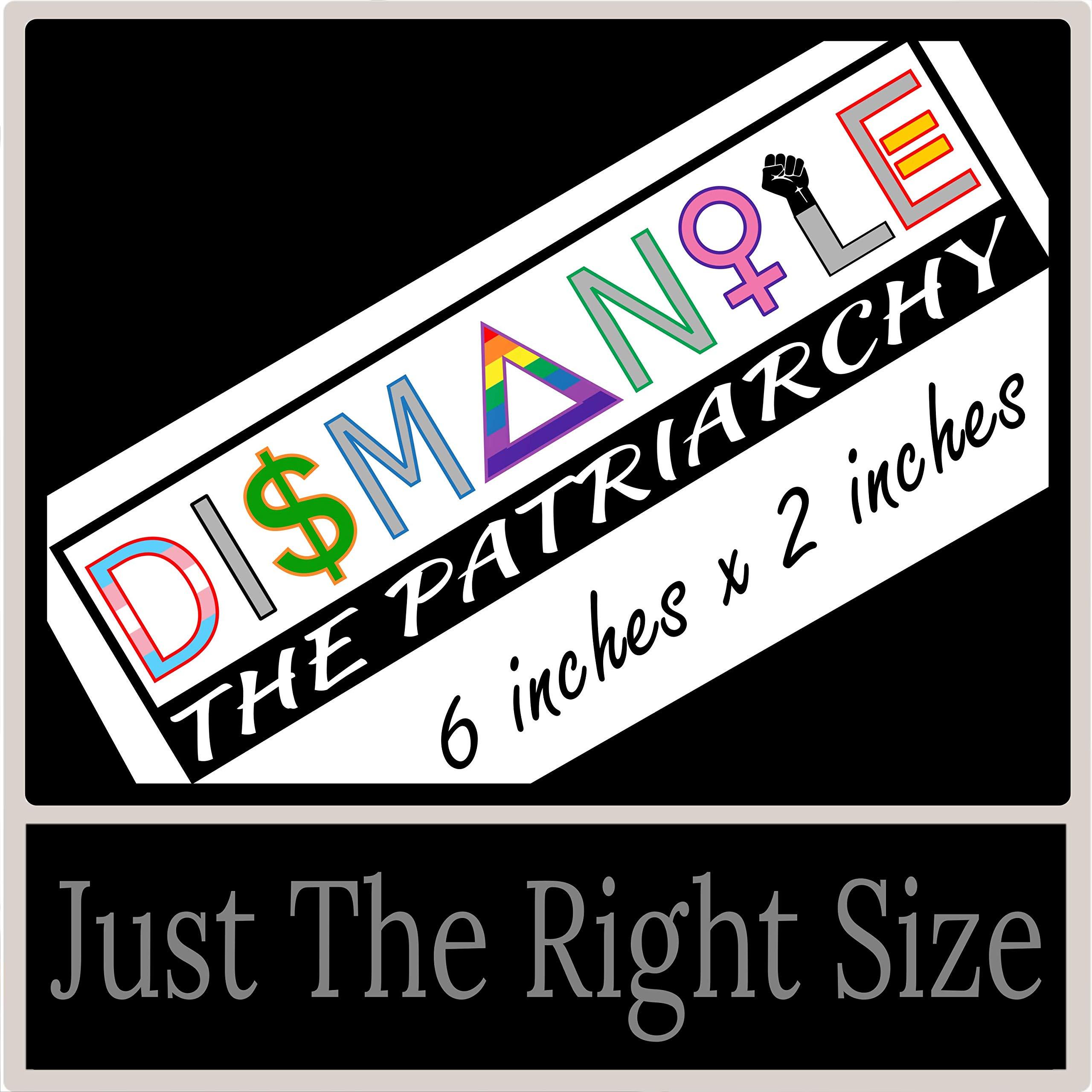 Equality Bumper-Sticker - We are All Powerful Valuable Deserving & Equal Vinyl Decal 6" x 2" Car Auto-Mobile Vehicle Window LGBT-Q-IA Gay Pride Female BLM + Better Than Magnets - Image 5