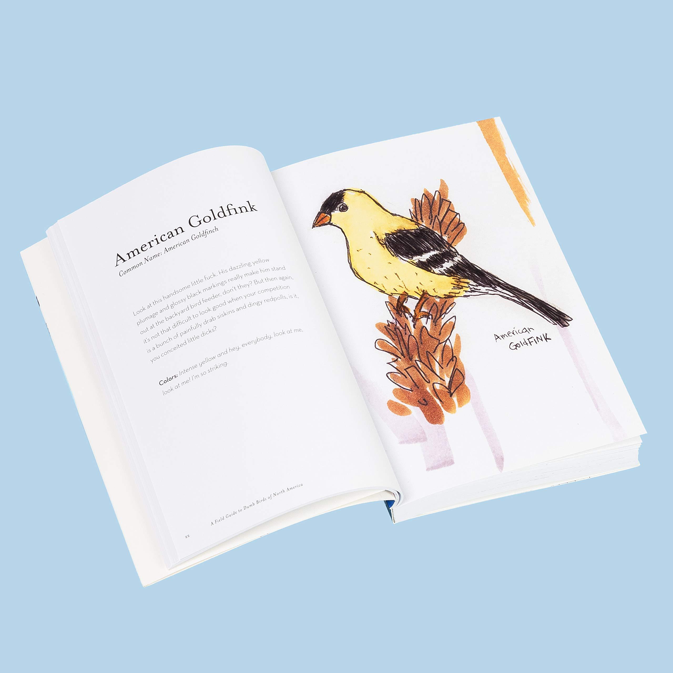 The Field Guide to Dumb Birds of North America (Bird Books, Books for Bird Lovers, Humor Books) - Image 6