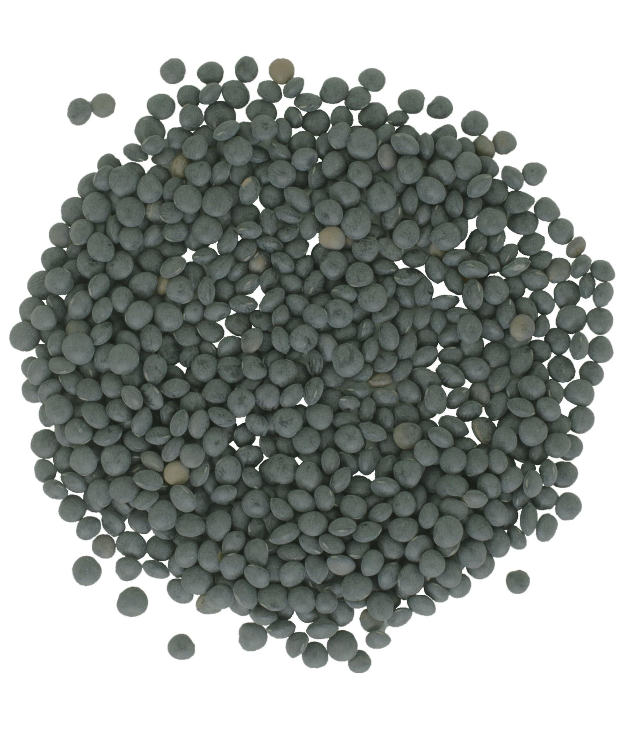Black Beluga Lentils Bulk | 25 LBS | Non-GMO | Kosher | Vegan | Non-Irradiated - Image 2
