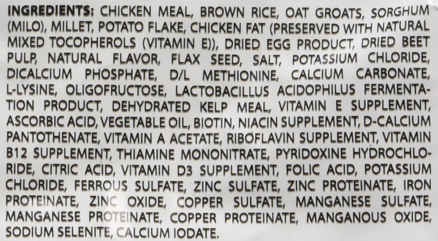 Dave's Natural Pet Food | Restricted Diet Chicken Meal & Brown Rice Dry Dog Food | Solve Food Sensitivities Naturally | Family Owned, Made in USA, for All Life Stages | 4# Bag - Image 9