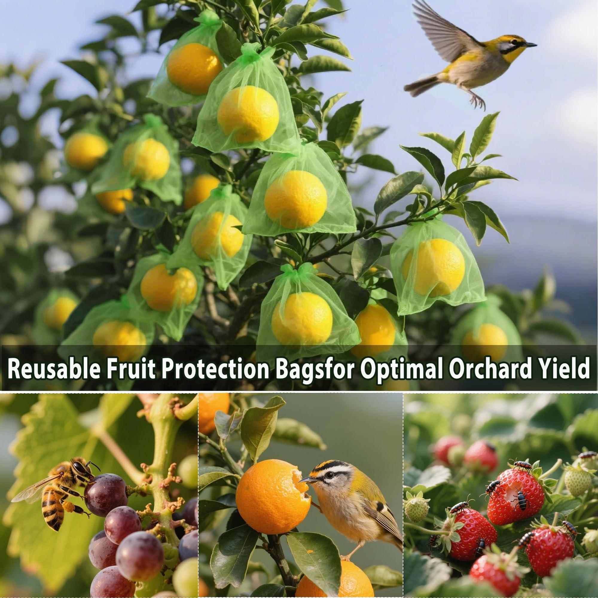 DMIMIA Fruit Protection Bags 100 pcs, Reusable Mesh Bags for Fruit Trees 3-Size, Breathable Covers to Protect Fruits from Pests & BirdsGreen - Image 5