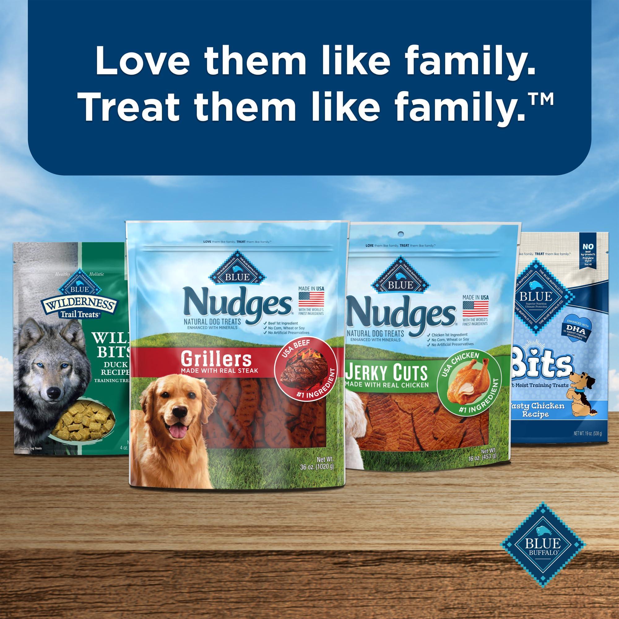 Blue Buffalo Nudges Grillers Natural Dog Treats, Made in the USA with Real Steak, 16-oz Bag - Image 9