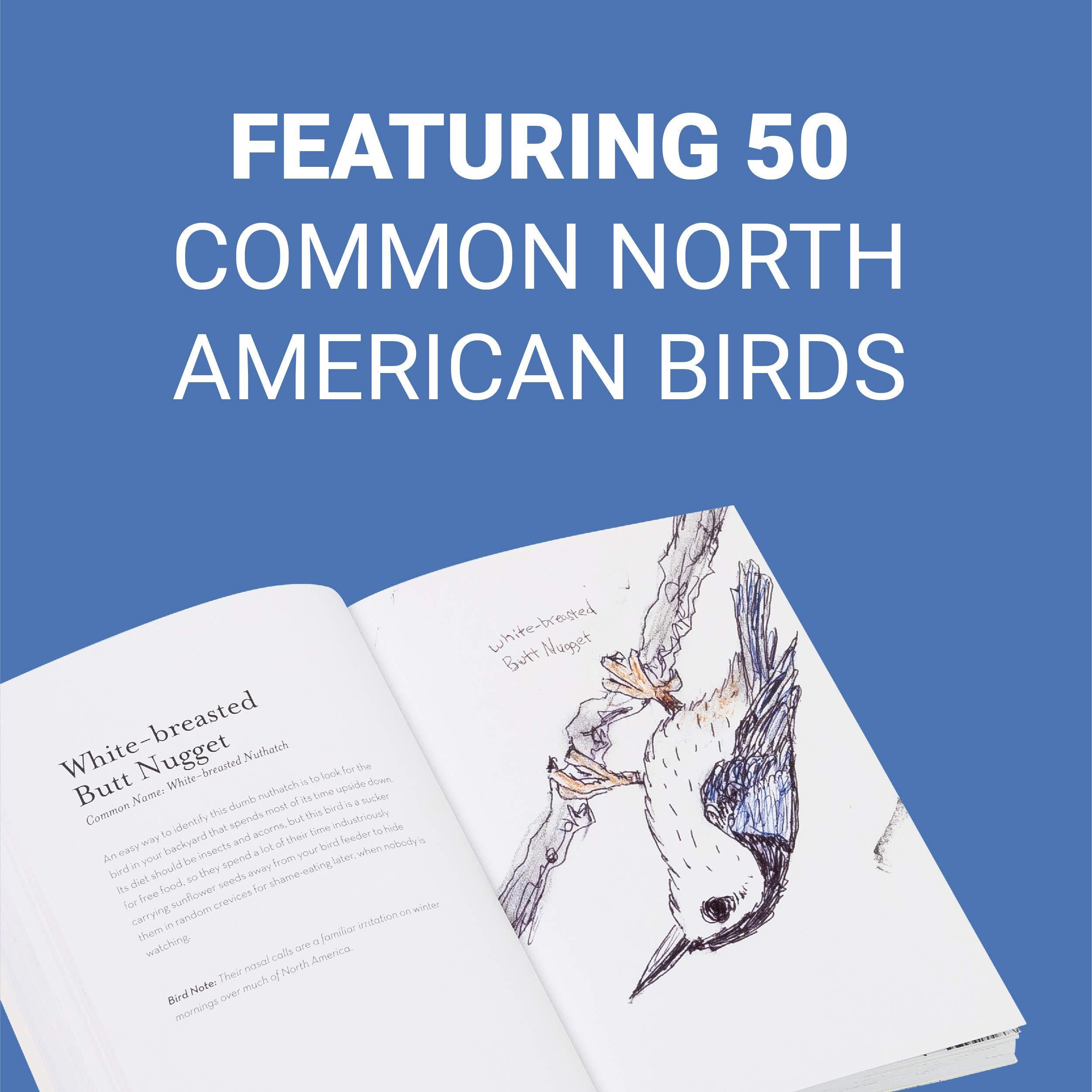 The Field Guide to Dumb Birds of North America (Bird Books, Books for Bird Lovers, Humor Books) - Image 3