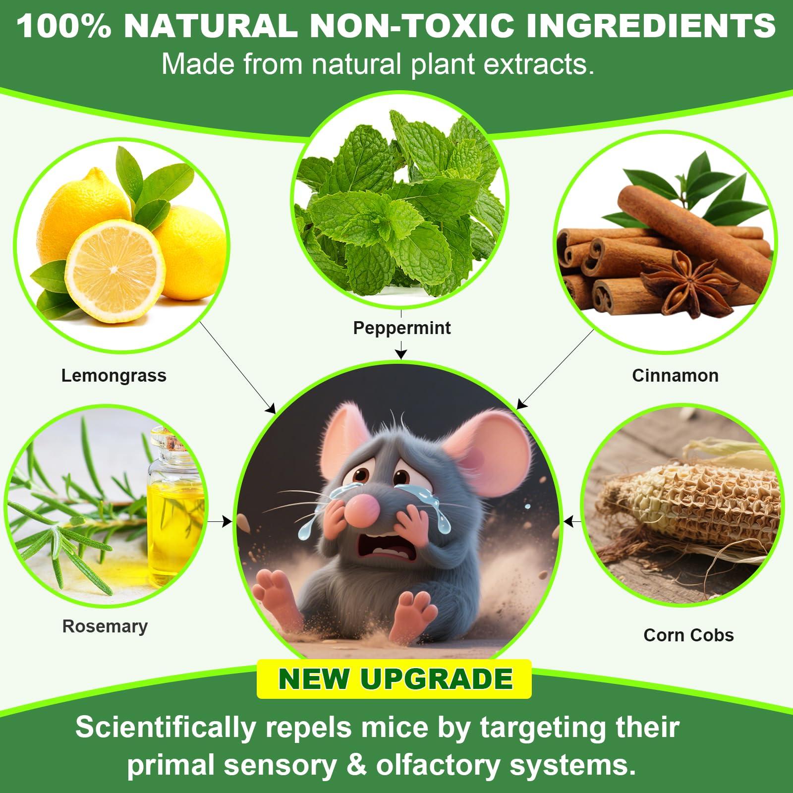 BOZFLY Mouse Rodent Repellent, 32 Pack Peppermint Oil Mice Repellent for Rats, Mice, Squirrels, Spiders and Pests, Indoor & Outdoor Natural Mouse Deterrent, Keeps Rodents Away from Garden & Home - Image 2