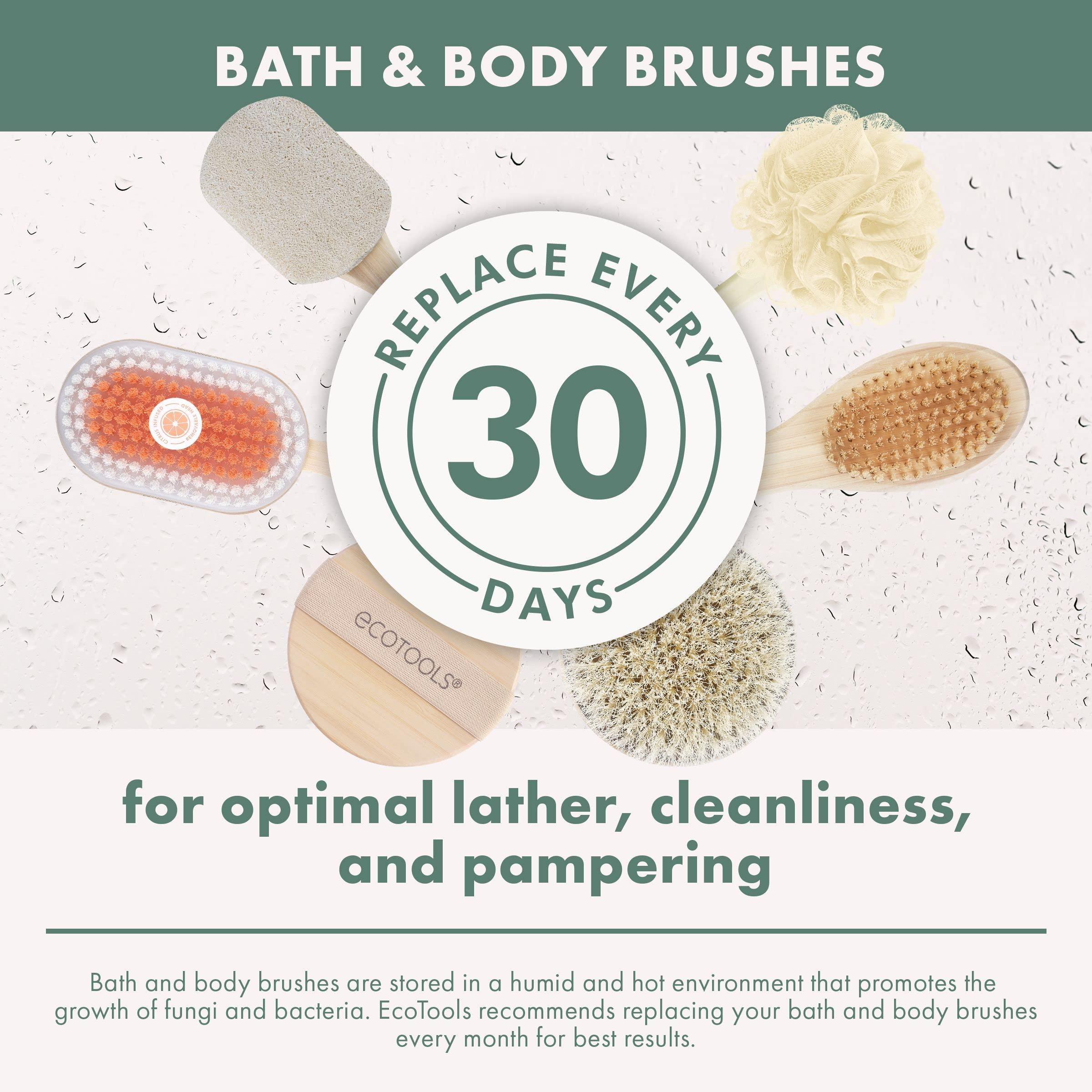 EcoTools Bath Bristle Brush, Bath Brush with Long Handle, Cleanse Back & Hard-to-Reach Areas, Eco Friendly Shower Brush for Exfoliating, Cruelty Free Nylon Bristles, Vegan, 1 Count - Image 10