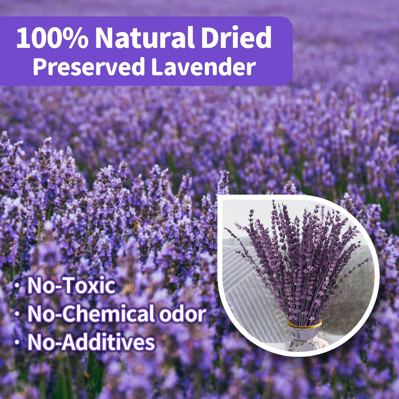 Dried Purple Lavender Flowers Bundle-Dried Preserved Lavender Bouquet 15-17" for Shower Weeding Home Vase Decor, Crafts, Aromatherapy, Fragrance, Fresh Silk Dry Live Plants, 50g(1.76oz) - Image 2