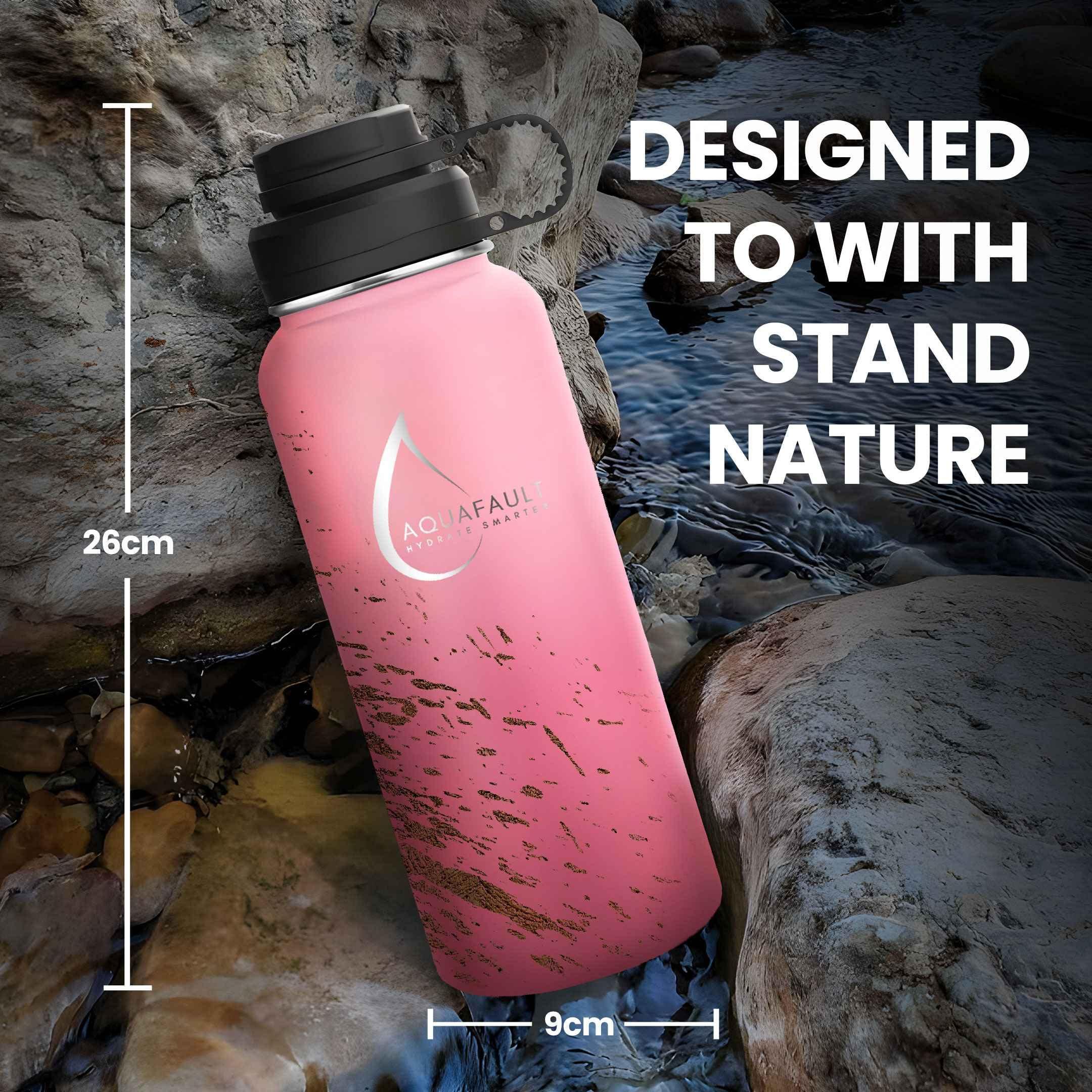 Aquafault 32oz Stainless Steel Fruit Infuser Water Bottle – BPA-Free, Leak-Proof, Easy to Clean, Reusable Sports Bottle for Gym, Travel & Outdoor Use (Black, Ocean Blue, Flamingo Pink) - Image 2