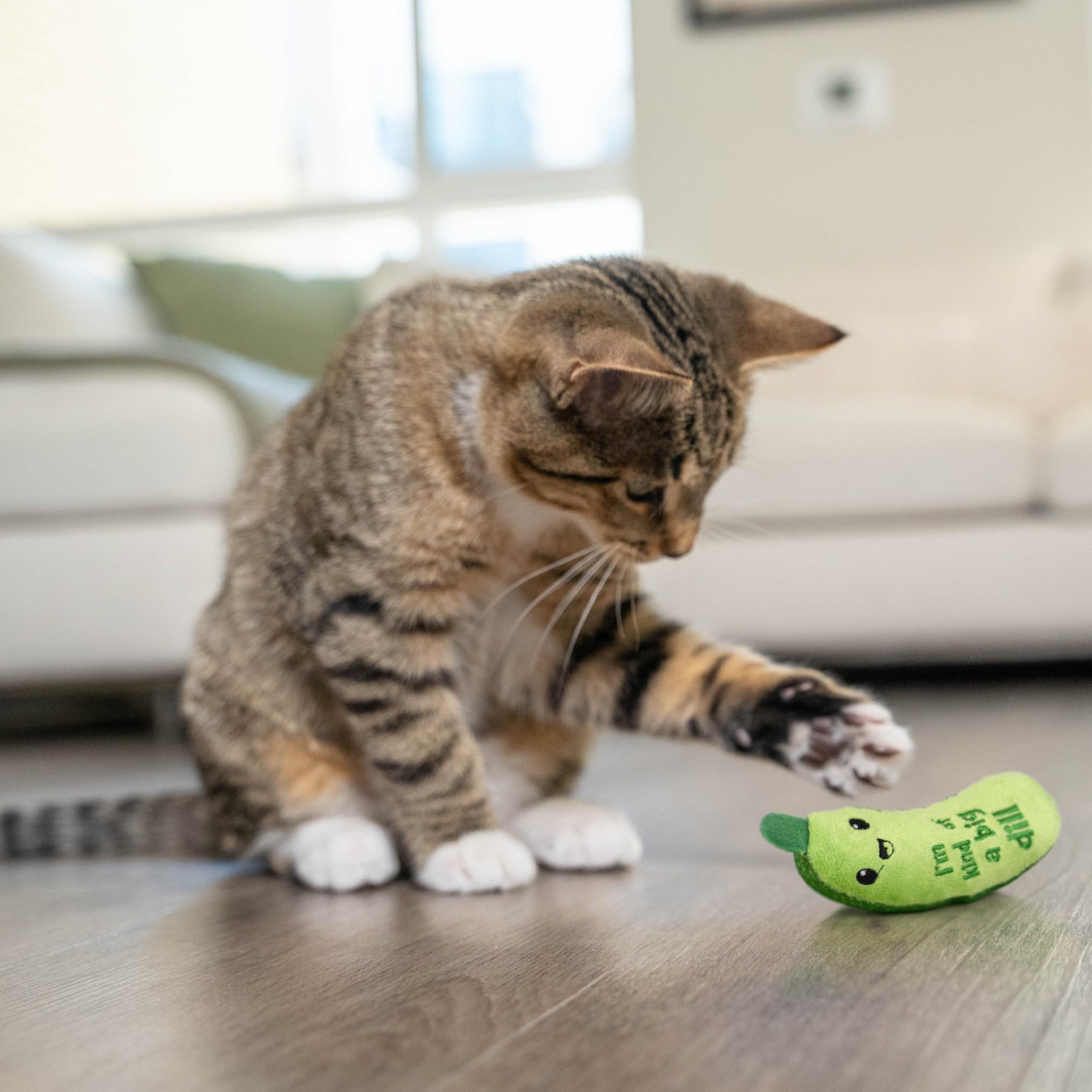 Catstages Crunchy Pickle Kicker Dental Catnip Cat Toy - Image 8