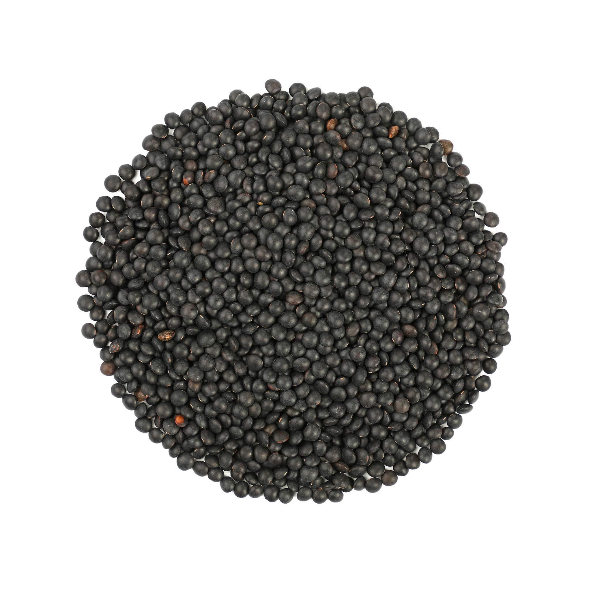 Food to Live Organic Black Lentils, 10 Pounds – Non-GMO, Whole Dry Pulses, Raw, Sproutable, Kosher, Vegan, Bulk Legumes, Black Masoor Daal. Rich in Thiamin, Folate, Protein. Great for Tacos, Soups - Image 3