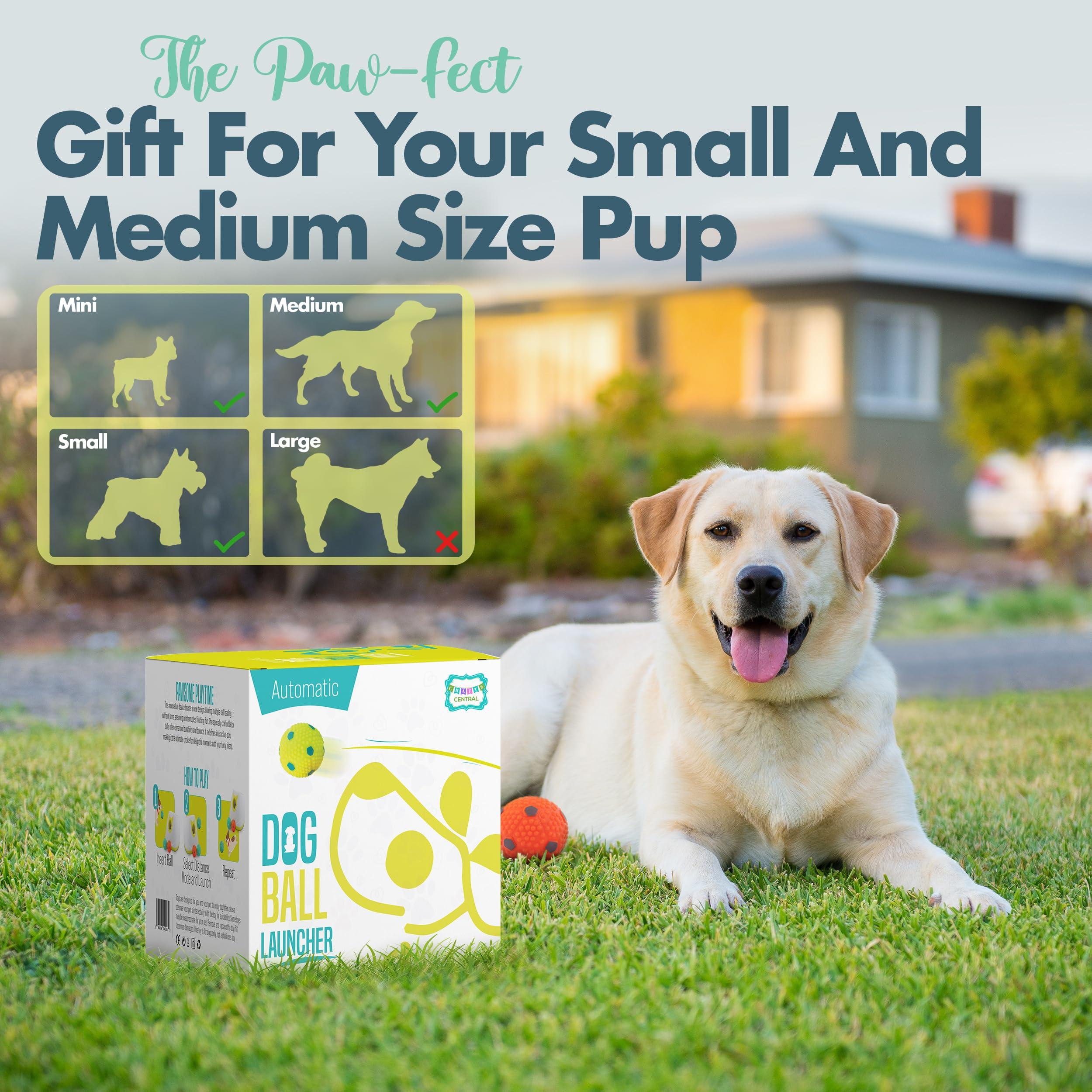 Automatic Dog Ball Launcher - Dog Ball Fetch Machine, Ball Thrower for Dogs, for Small to Medium Sized Dogs, Interactive Dog Toy with 6 Latex Balls, Plug-in & Battery Options - 4 Launch Distances - Image 5