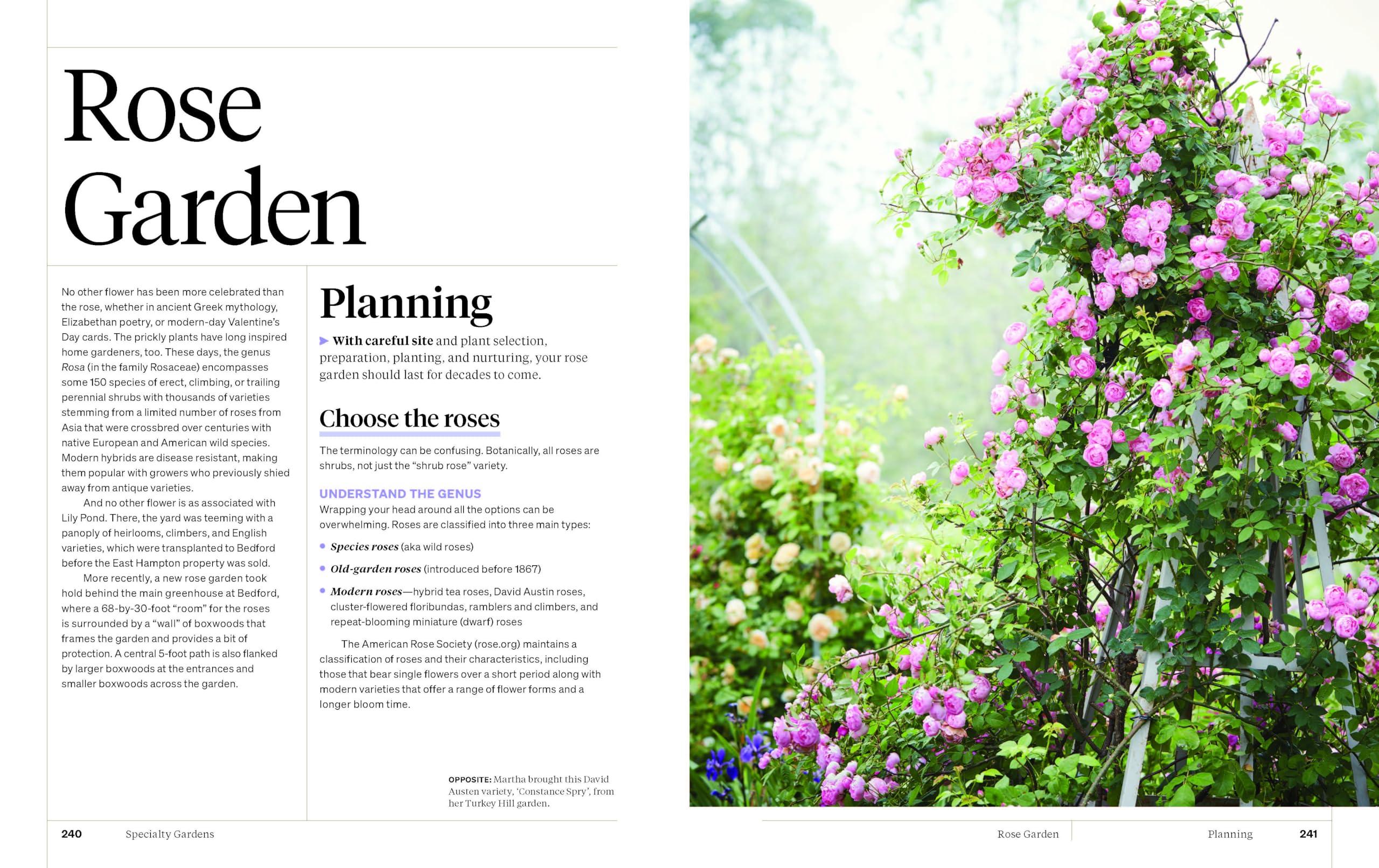 Martha Stewart's Gardening Handbook: The Essential Guide to Designing, Planting, and Growing―Martha Stewart's Handbook For Growing Beautiful Plants and Vegetables - Image 6