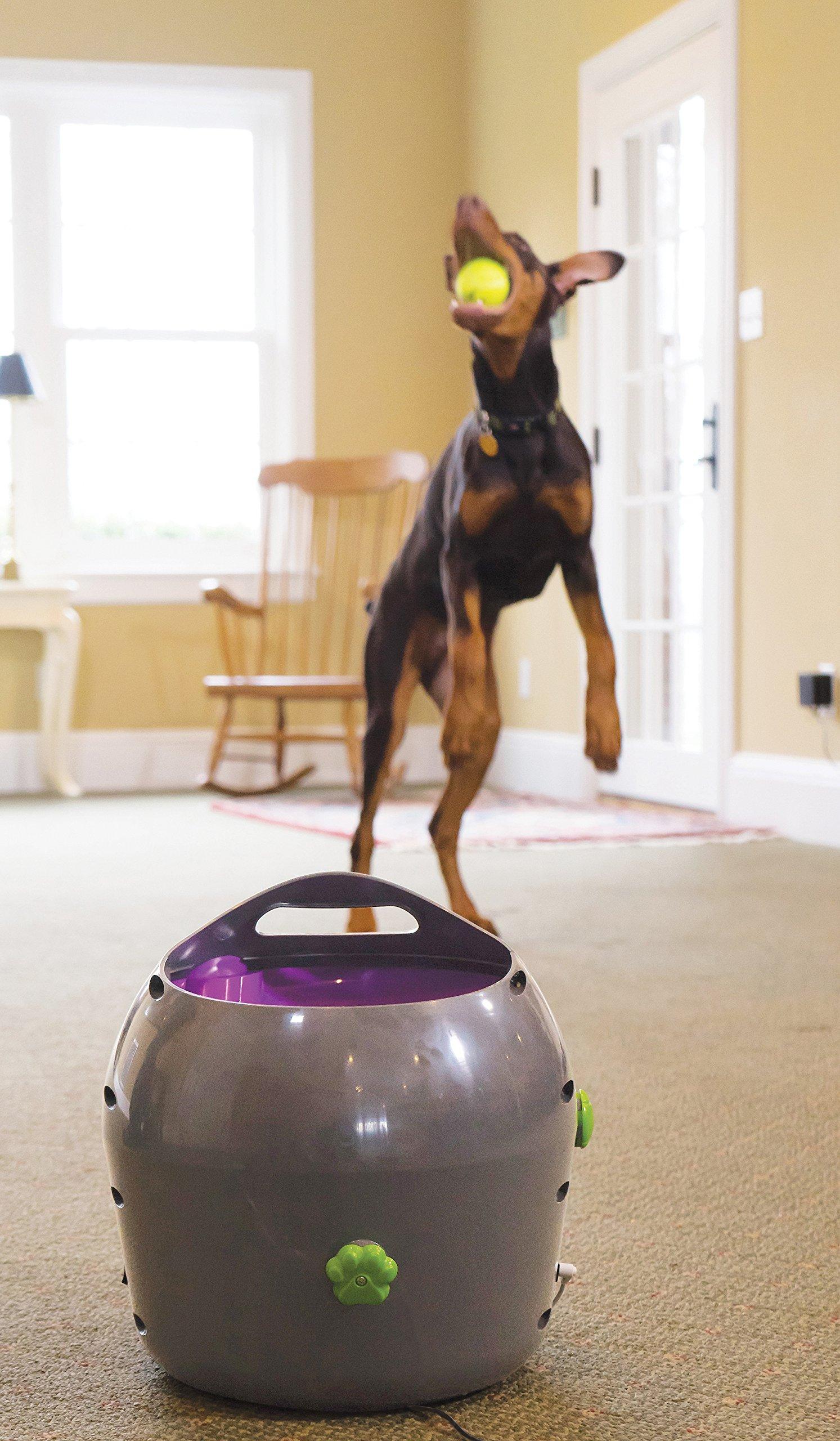 PetSafe Automatic Dog Ball Launcher All Breed Sizes - Image 2