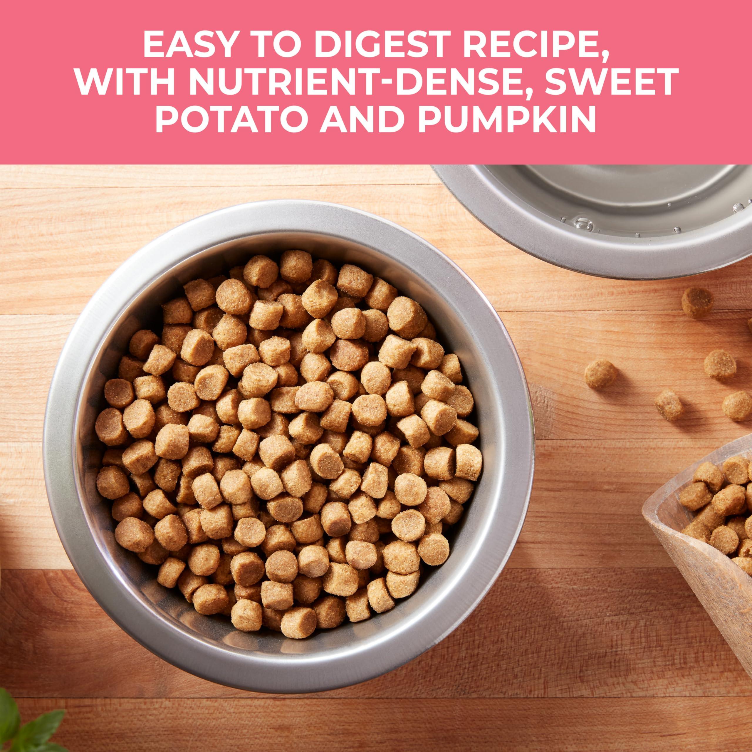 Nature’s Recipe Grain Free Salmon, Sweet Potato & Pumpkin Recipe Dry Dog Food, 24 lb. Bag - Image 7