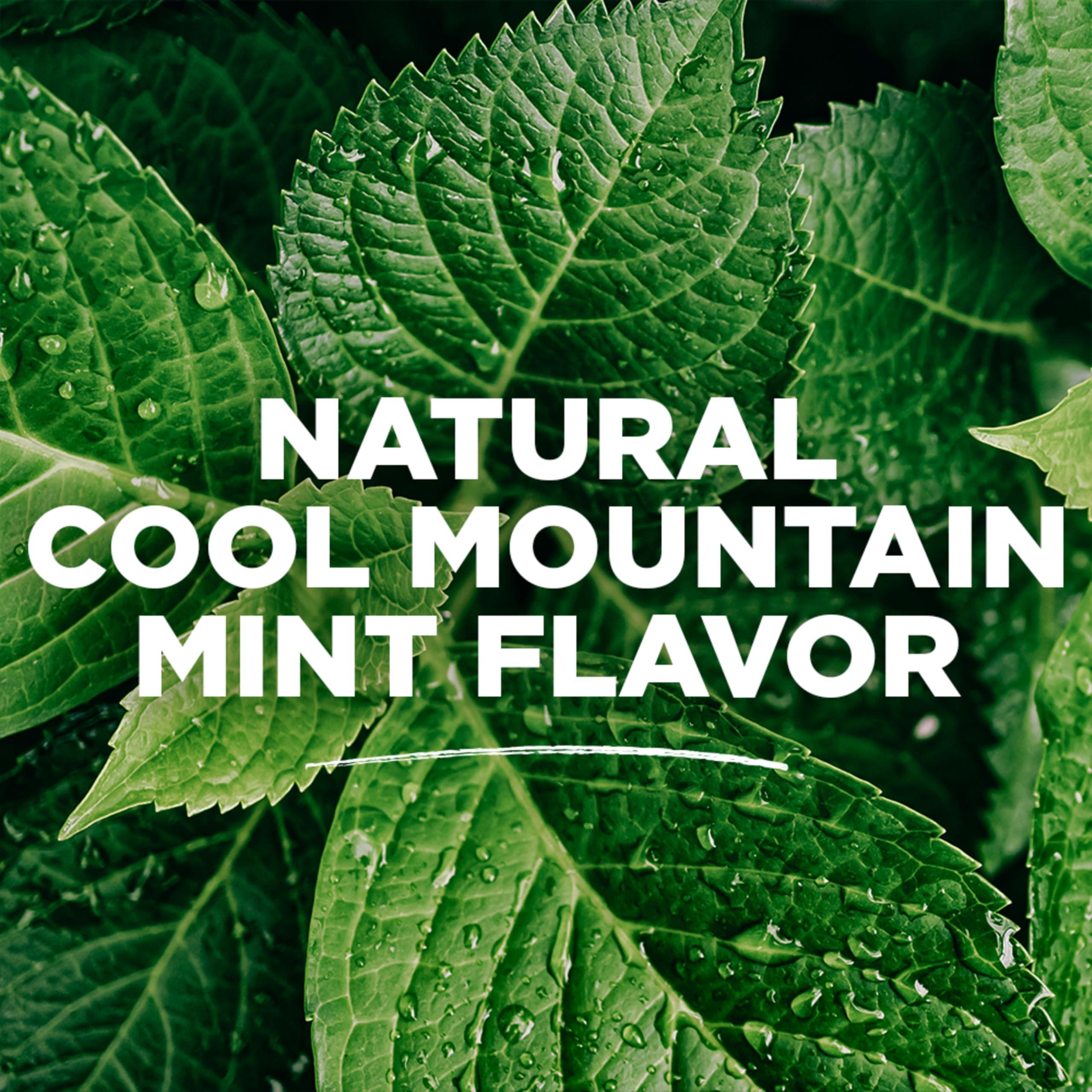 Tom's of Maine Natural Wicked Fresh Alcohol-Free Mouthwash, Cool Mountain Mint, 16 oz. 6-Pack (Packaging May Vary) - Image 7