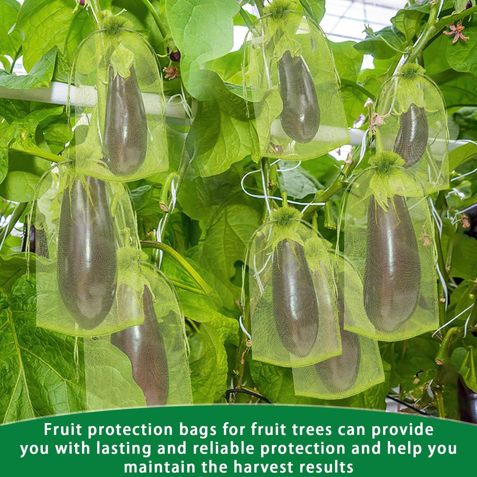 DECYOOL 120 PCS Fruit Protection Bags 4 X 6 inch, Green Fruit Bags for Fruit Trees Fruit Netting Cover Drawstring Mesh Bags Suit for Mangoes Tomatoes Fruit Trees Veggies Garden - Image 7