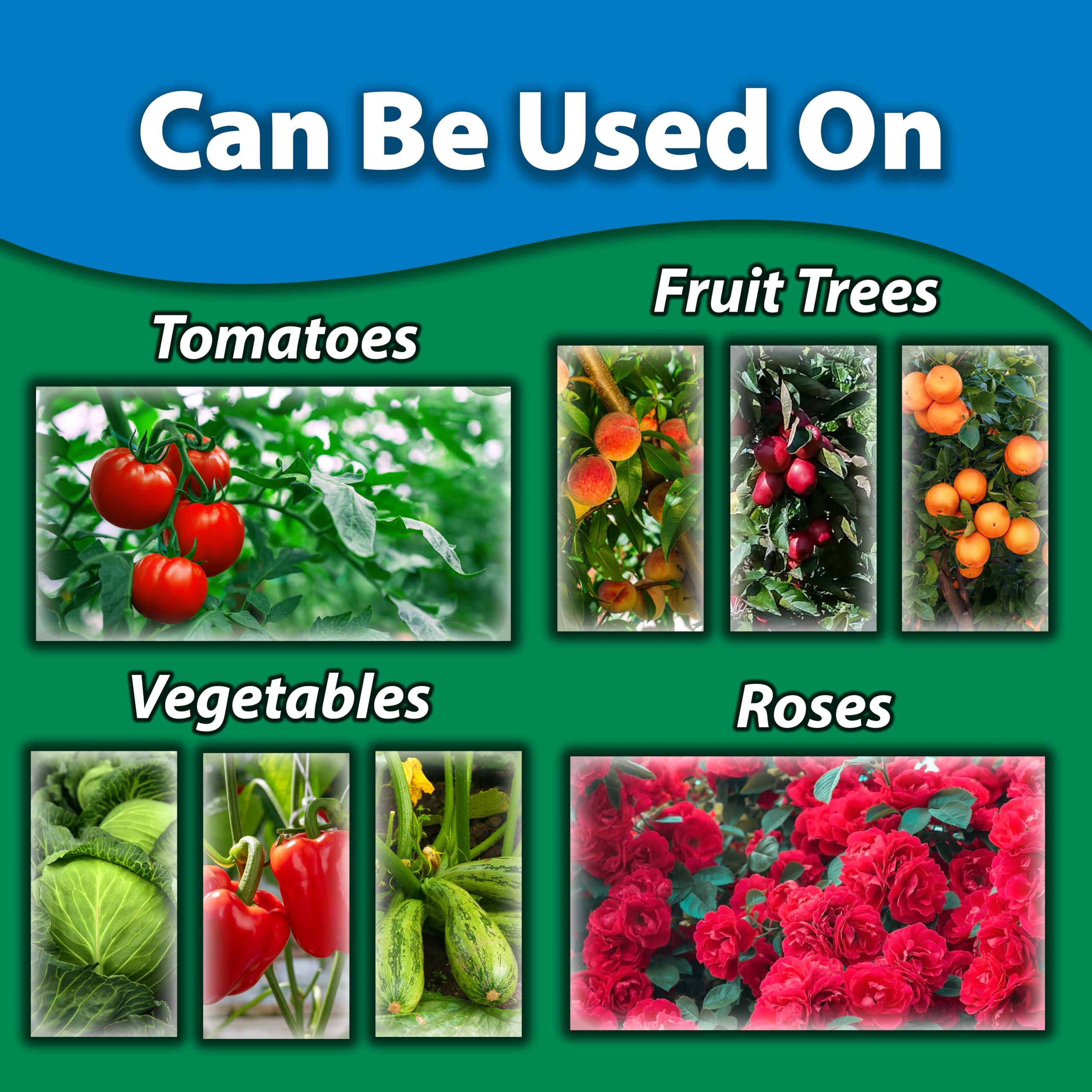 Monterey Horticultural Oil - Organic Gardening Fungicide, Insecticide, & Miticide - Controls Aphids, Mites, Scales - 1 Gallon - Apply Using a Sprayer - Image 3