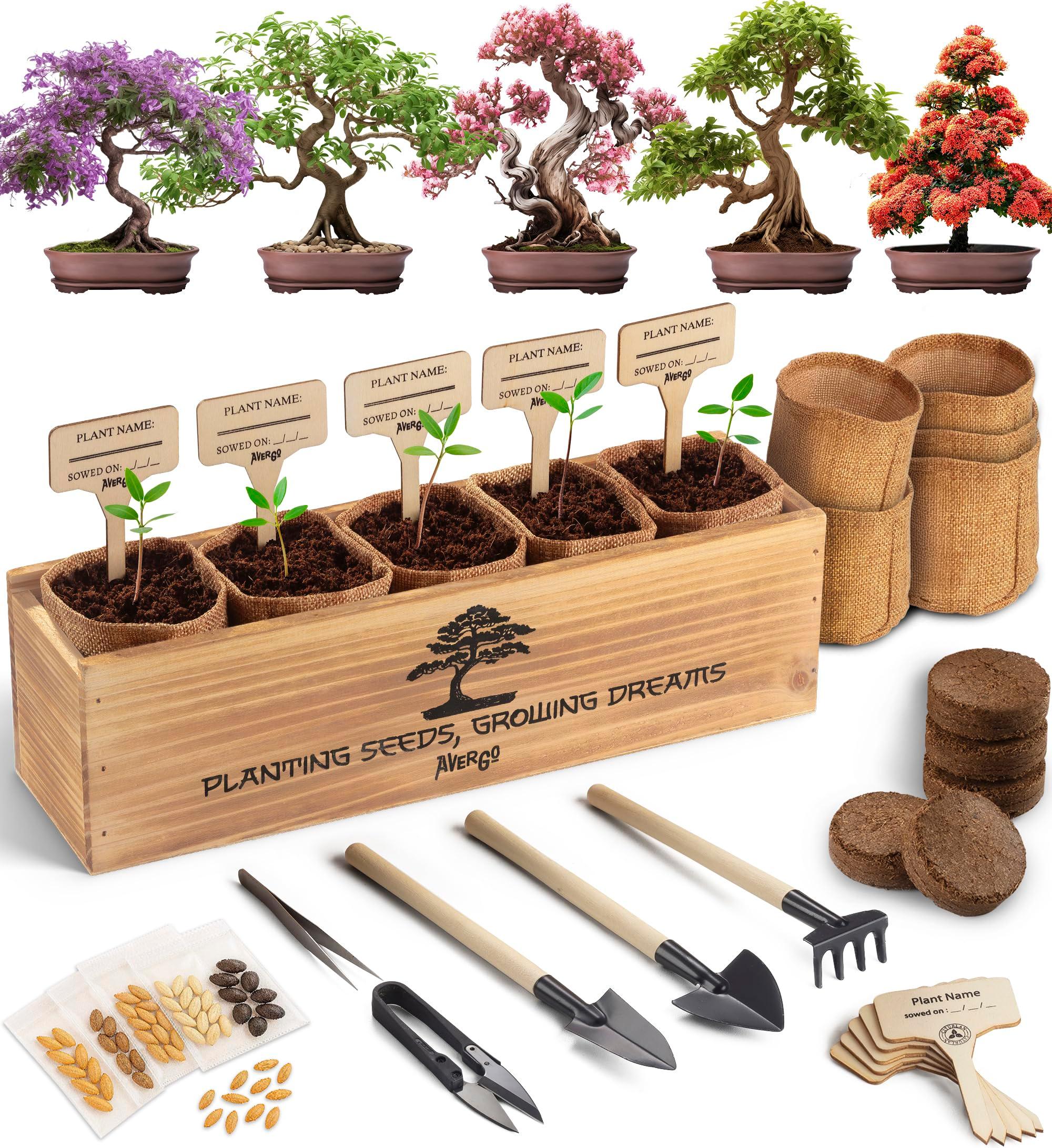Avergo Bonsai Tree Kit – 5X Unique Japanese Bonzai Trees | Complete Indoor Starter Kit for Growing Bonsai Plants with Tools & Planters – Gardening Gifts for Women & Men
