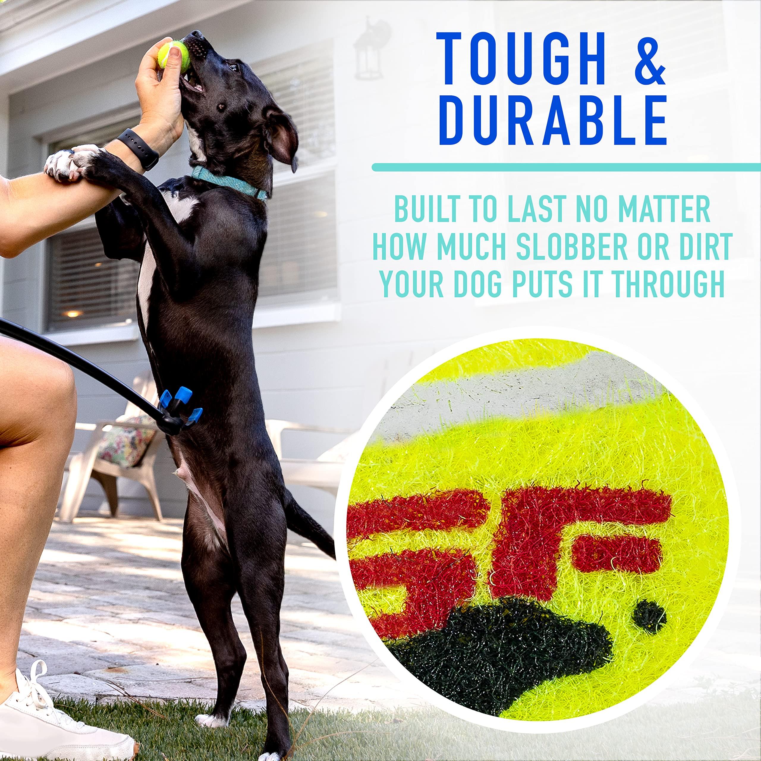 Franklin Pet Supply Co. Mini Tennis Ball Launcher for Dogs - RSF Thrower Fetch + Active Play - Perfect for Small Dogs - Image 6