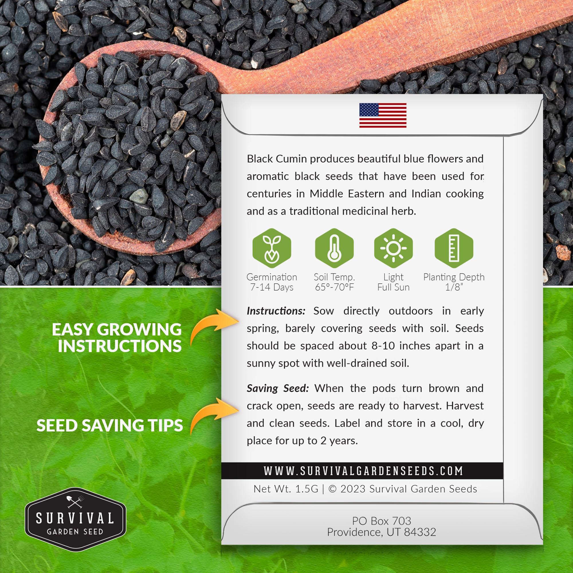 Black Cumin Seed for Planting - 1 Packet with Instructions to Plant and Grow Beneficial Nigella Sativa Plants in Your Home Vegetable Garden - Non-GMO Heirloom Variety - Survival Garden Seeds - Image 2
