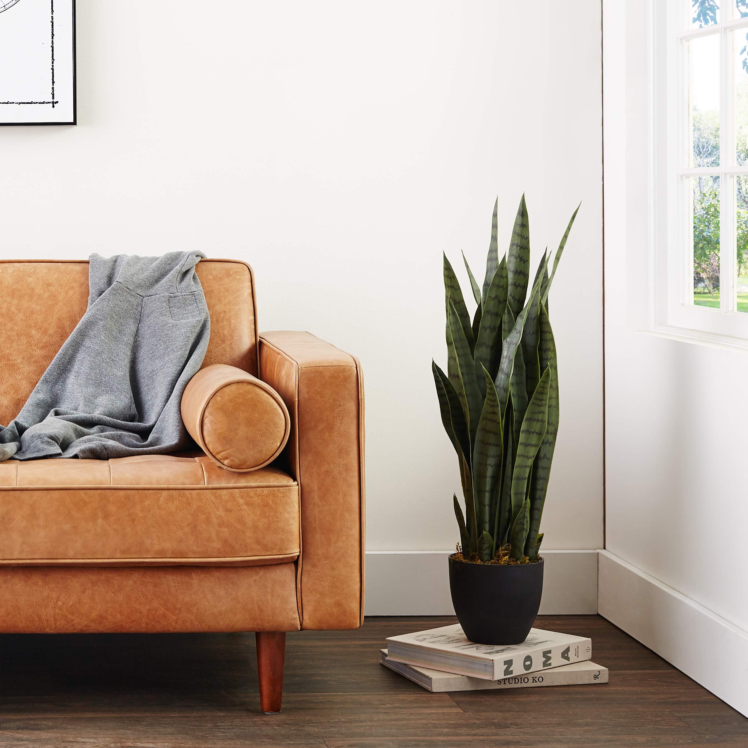 Nearly Natural, Green 4855 35in. Sansevieria with Black Planter - Image 10