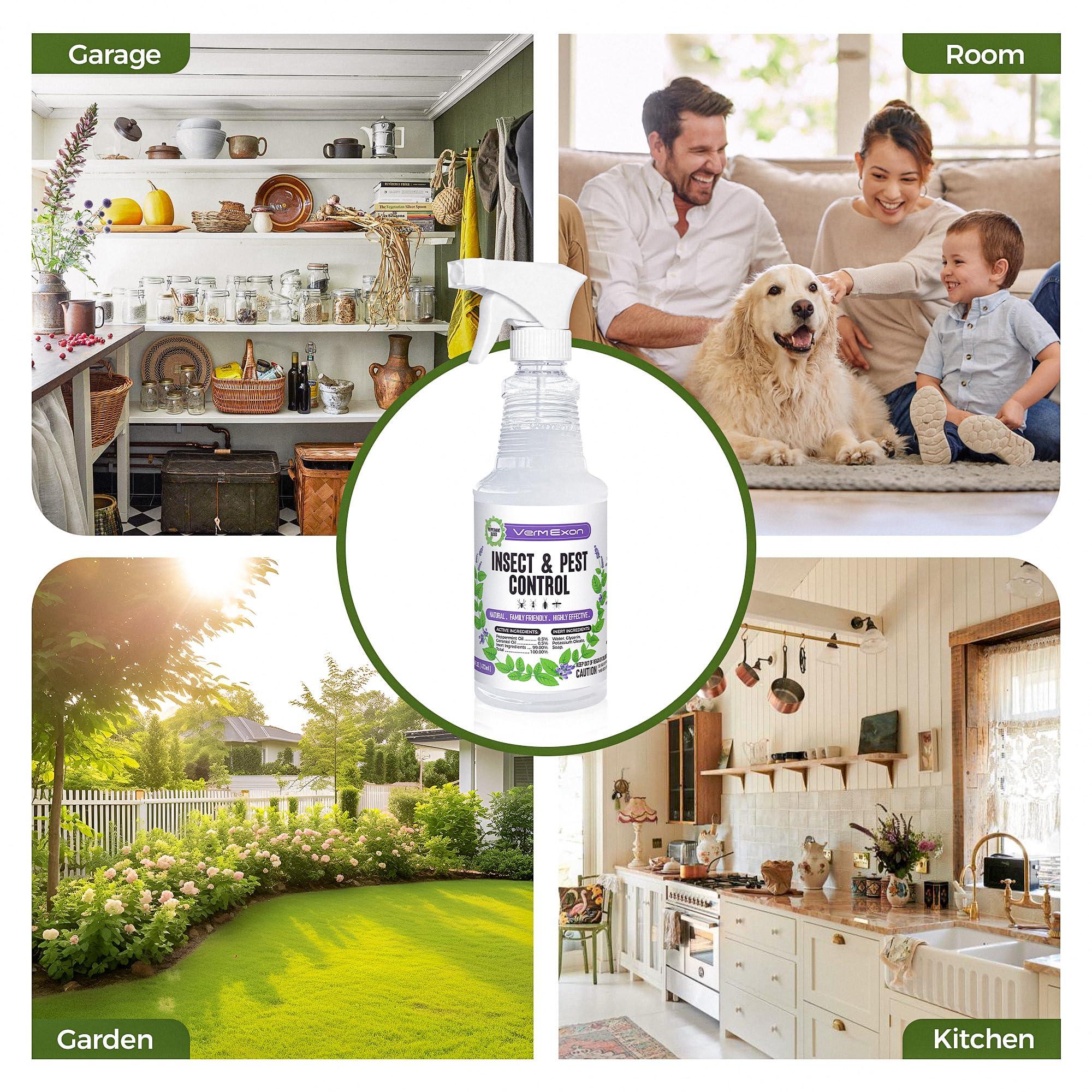 VermExon Peppermint Oil Insect & Pest Control Spray – 16oz Natural Plant-Based Bug Killer for Spiders, Ants, Flies, and Other Insects, Safe for Home & Kitchen Use - Image 6