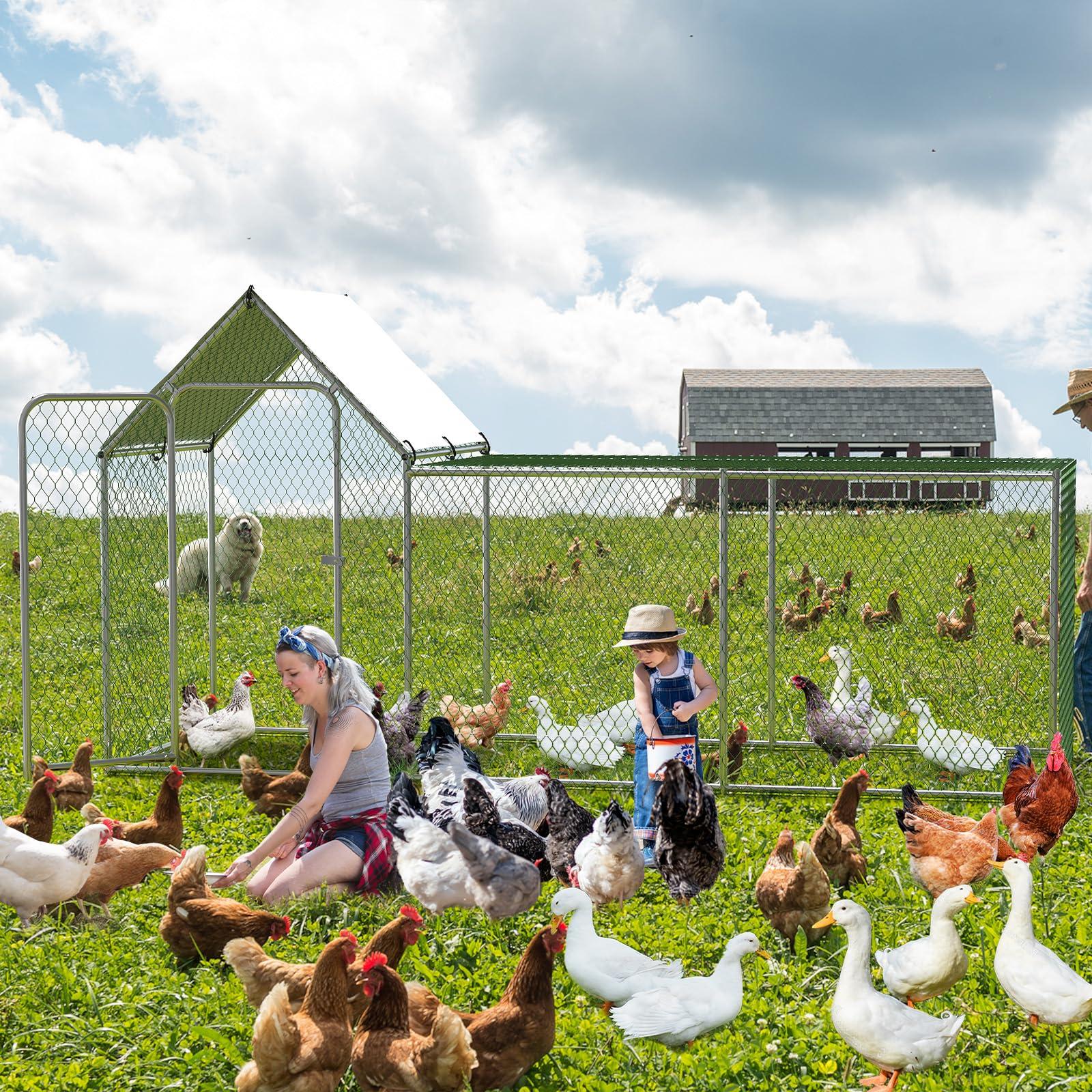 Chicken Coop, Large Metal Chicken Run, Outdoor Chicken Pen with Waterproof and Anti-UV Cover, Walk-in Chicken House with Lockable Door, for Yard, Farm Use, 10' W x 3.3' D x 5' H - Image 9