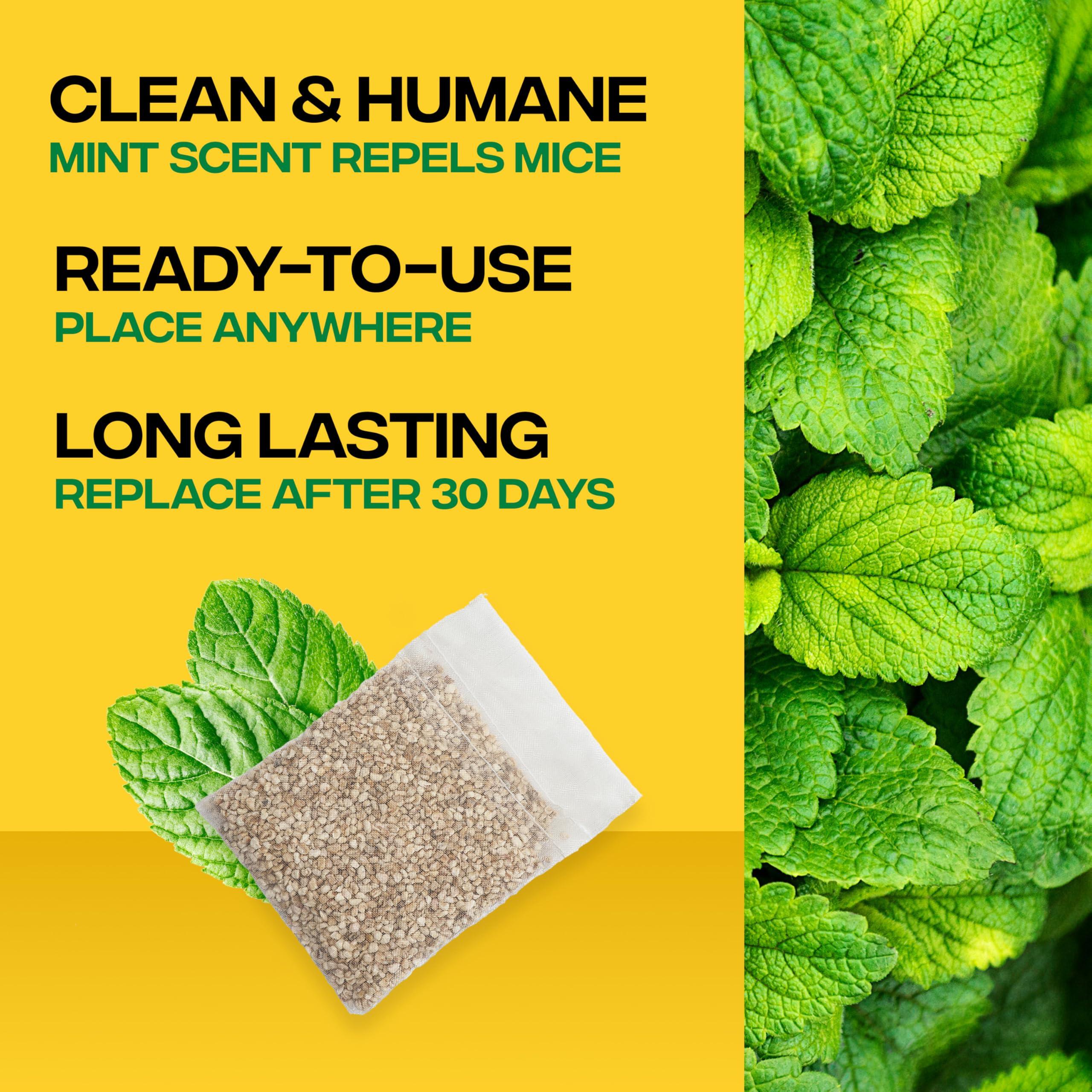 Victor Scent-Away Mouse Repellent Pouches with Peppermint Oil - Natural Rodent Repeller for Indoor and Outdoor Use, 10 Pack M805B-2SR - Image 3
