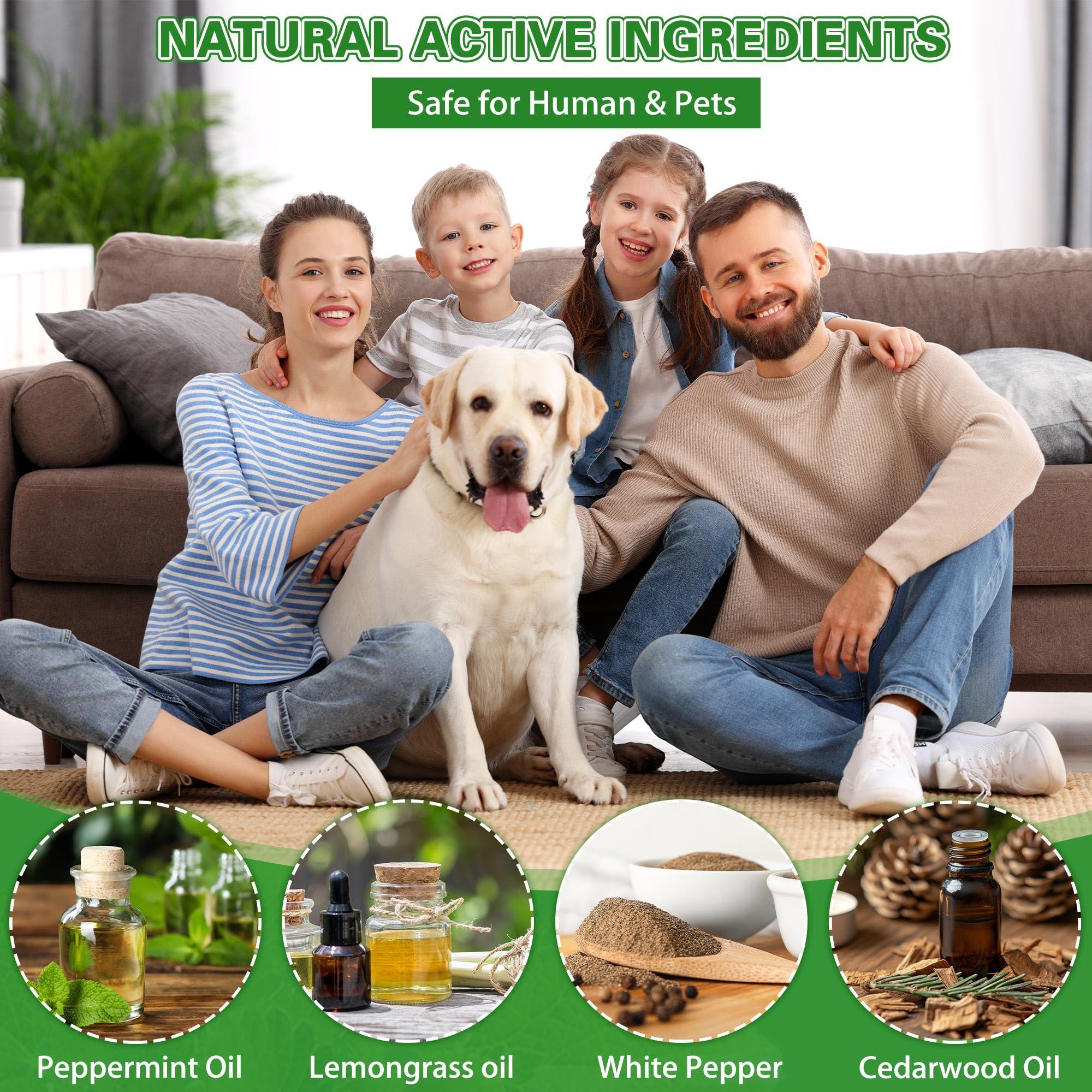 Rodent Mouse Repellent, 36 PCS Natural Rat Mice Repellant Indoor, Peppermint Oil to Repel Mice Rats Away Squirrel Pest Repellent Balls Rodent Deterrent for House Outdoor, Family & Pet Safe - Image 2