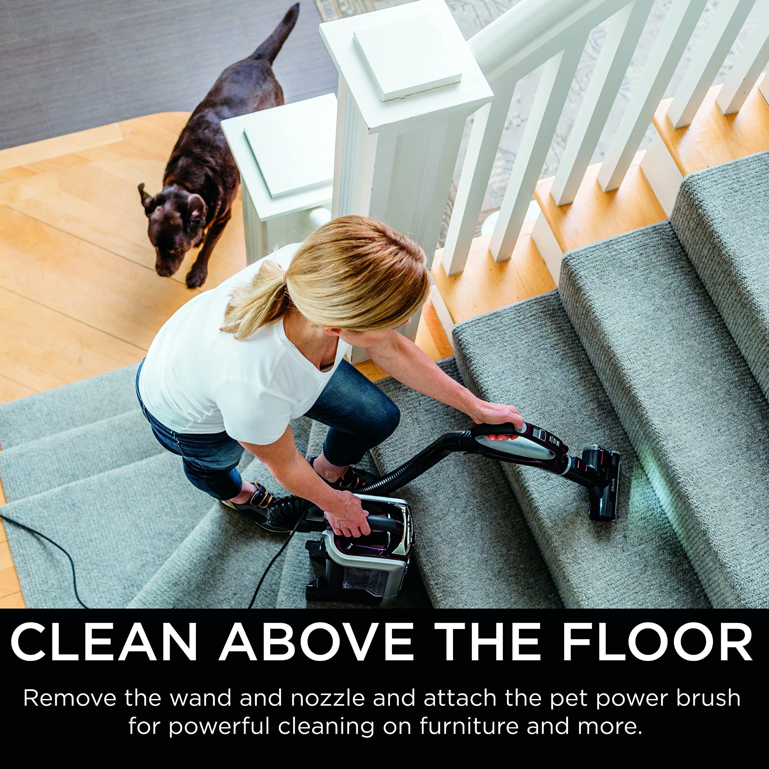 Shark NV752 Rotator Powered Lift-Away TruePet Upright Vacuum with HEPA Filter, Large Dust Cup Capacity, LED Headlights, Upholstery Tool, Perfect Pet Power Brush & Crevice Tool, Bordeaux - Image 2