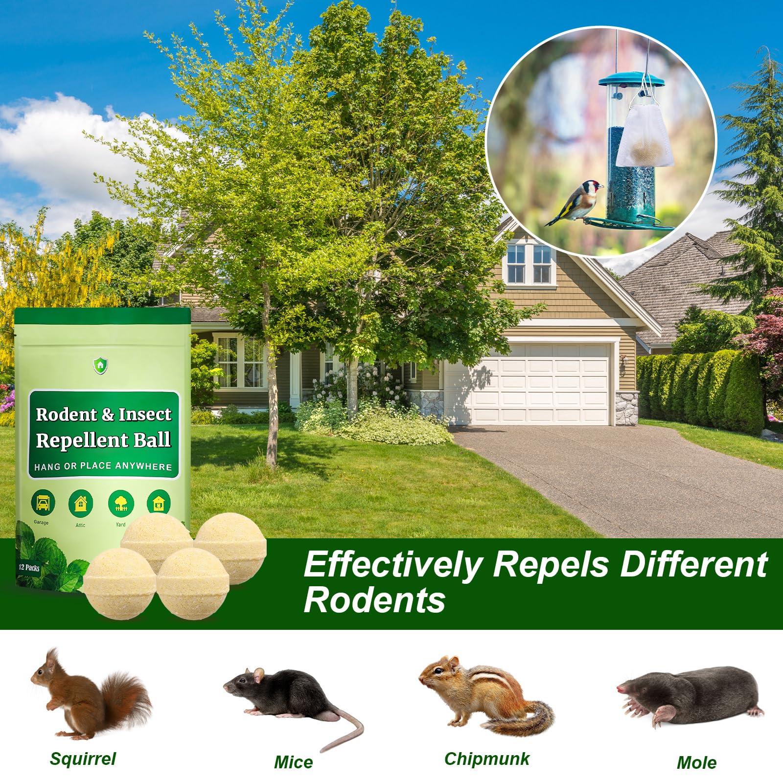 Rodent and Insect Repellent Balls, Squirrel Rat Repellent for Outdoor and Indoor, Peppermint to Repel Mice and Rats, Rodent and Mouse Deterrent for House, Garden, Attic, 12 Packs - Image 4