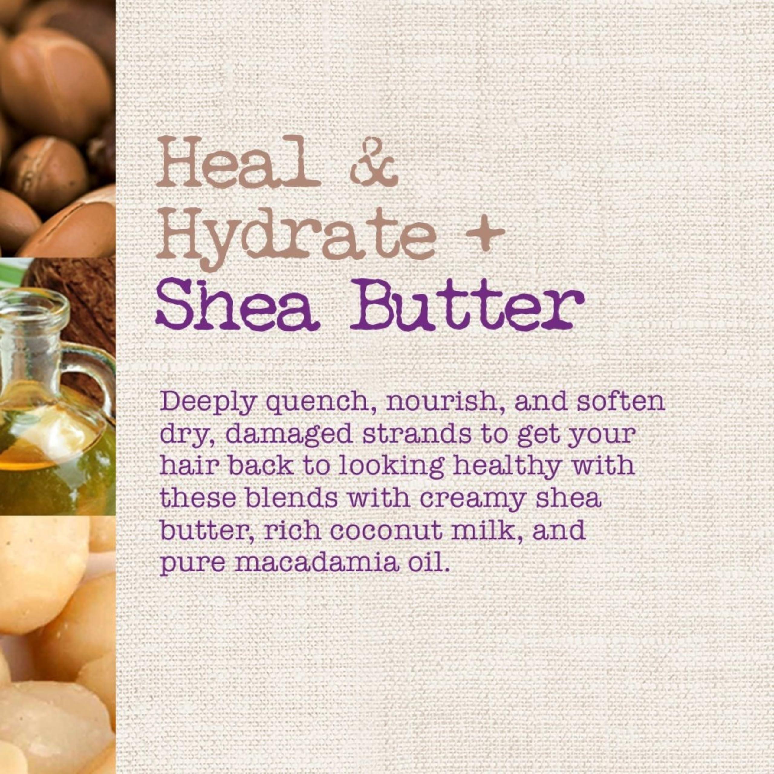 Maui Moisture Heal & Hydrate + Shea Butter Shampoo to Repair & Deeply Moisturize Tight Curly Hair with Coconut & Macademia Oils, Vegan, Silicone, Paraben & Sulfate-Free, 13 fl oz - Image 3