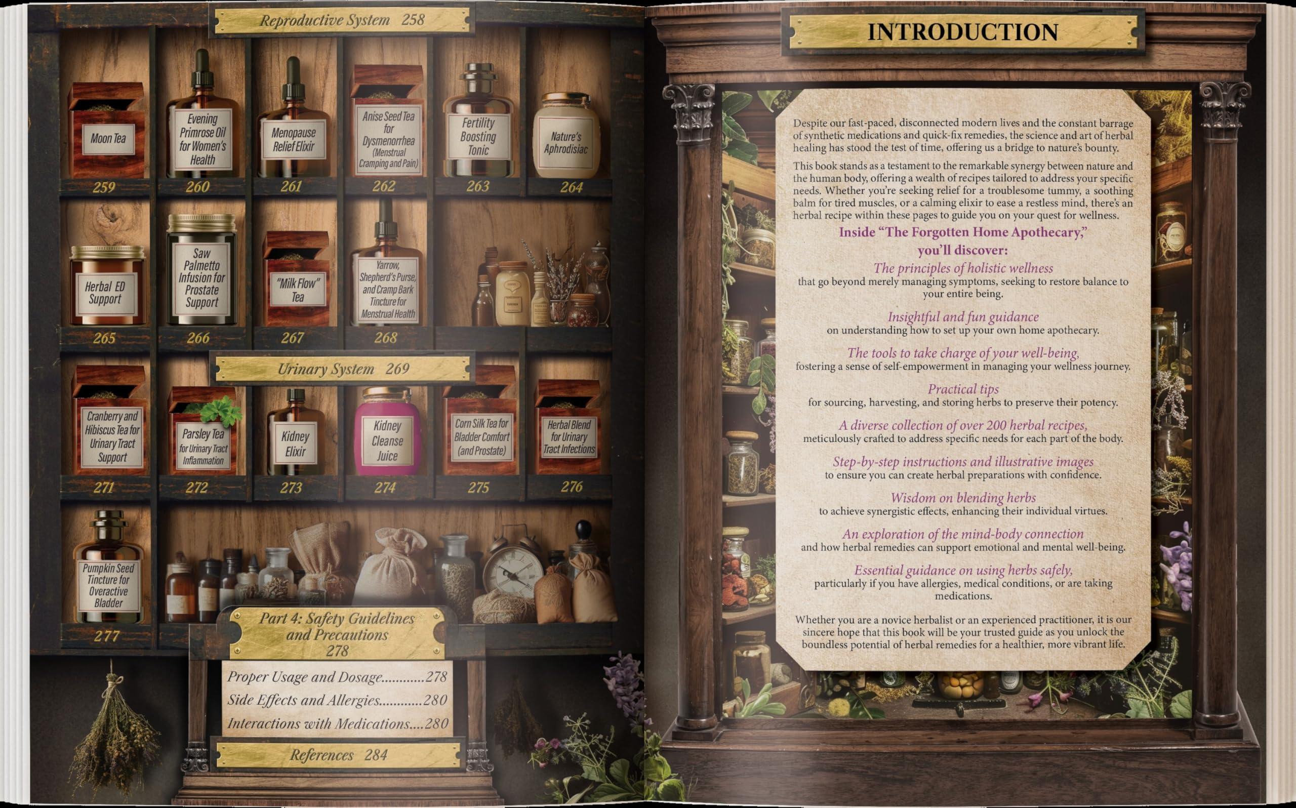 Forgotten Home Apothecary : 250 Powerful Remedies at Your Fingertips - Image 5